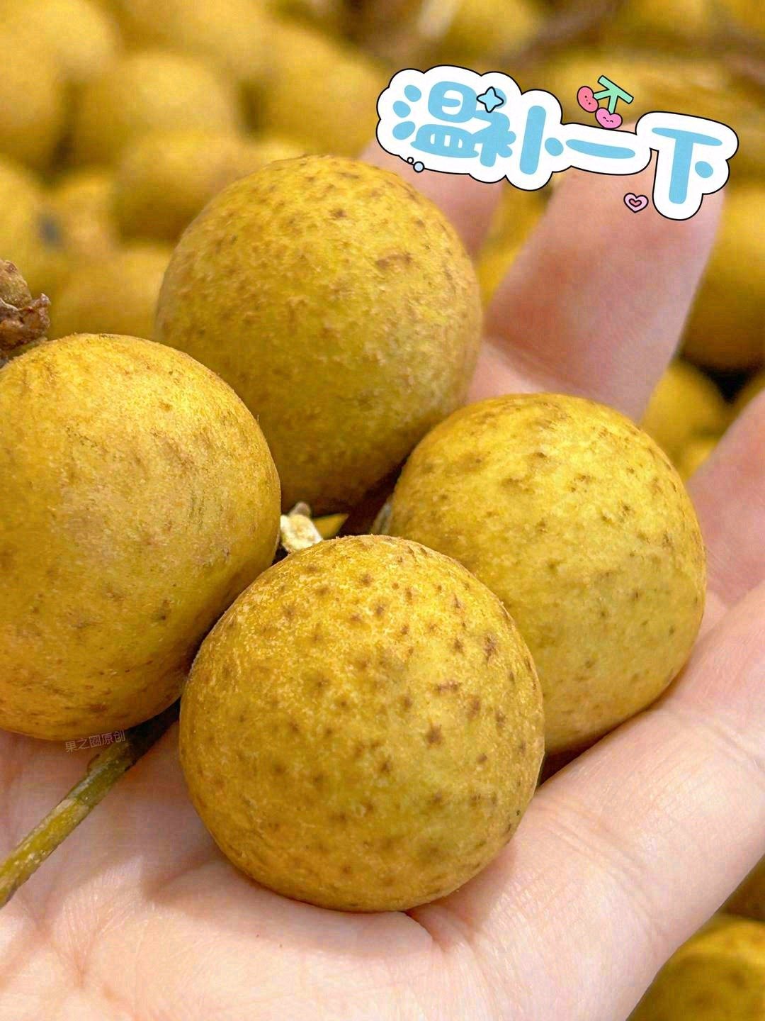 秋季是吃龙眼最佳的季节🍁🍁~ 补气养血🌋 配图1