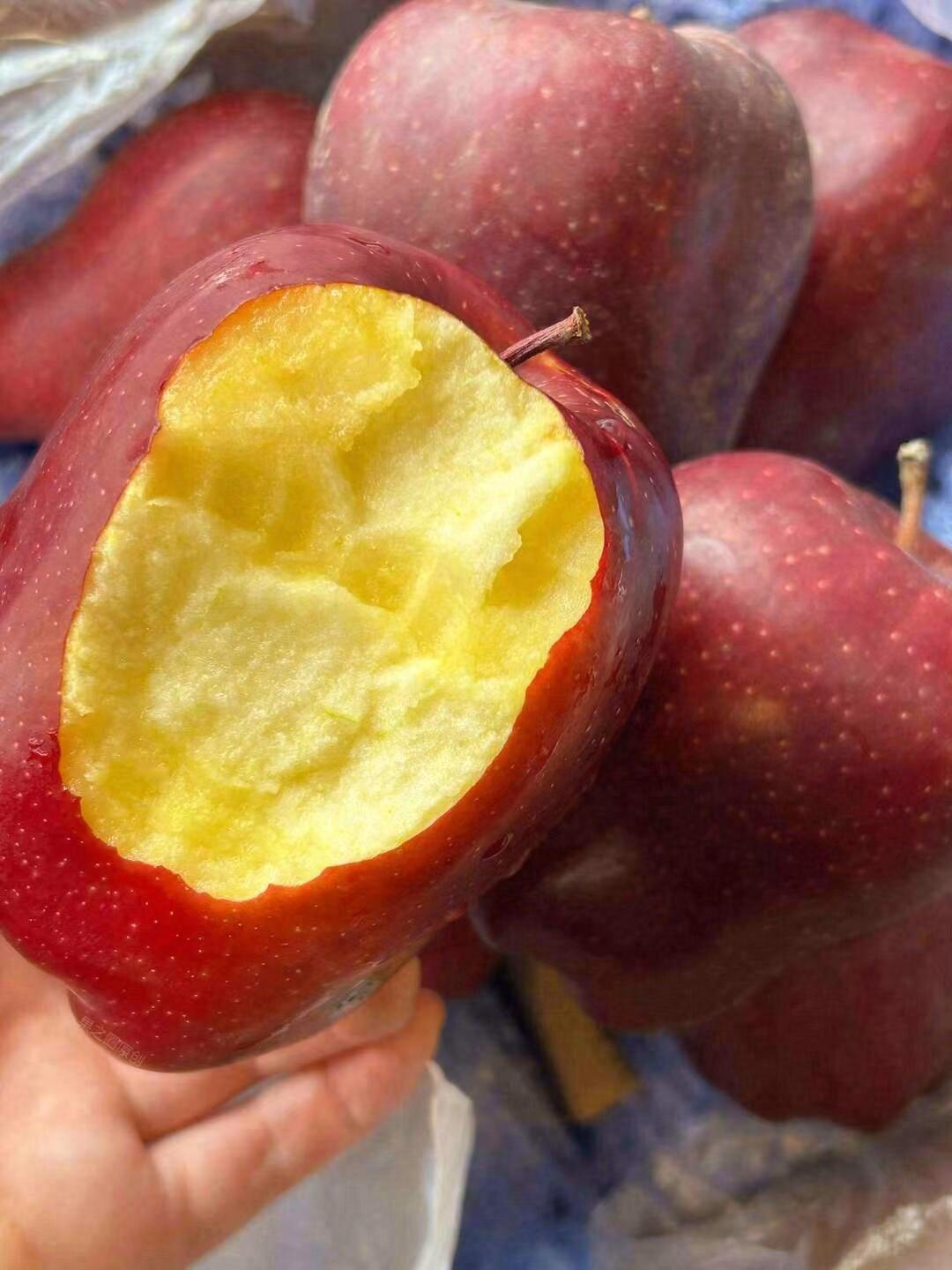 🍎到货啦雪原蛇果新鲜到货~ 🌞 特殊的光 配图1
