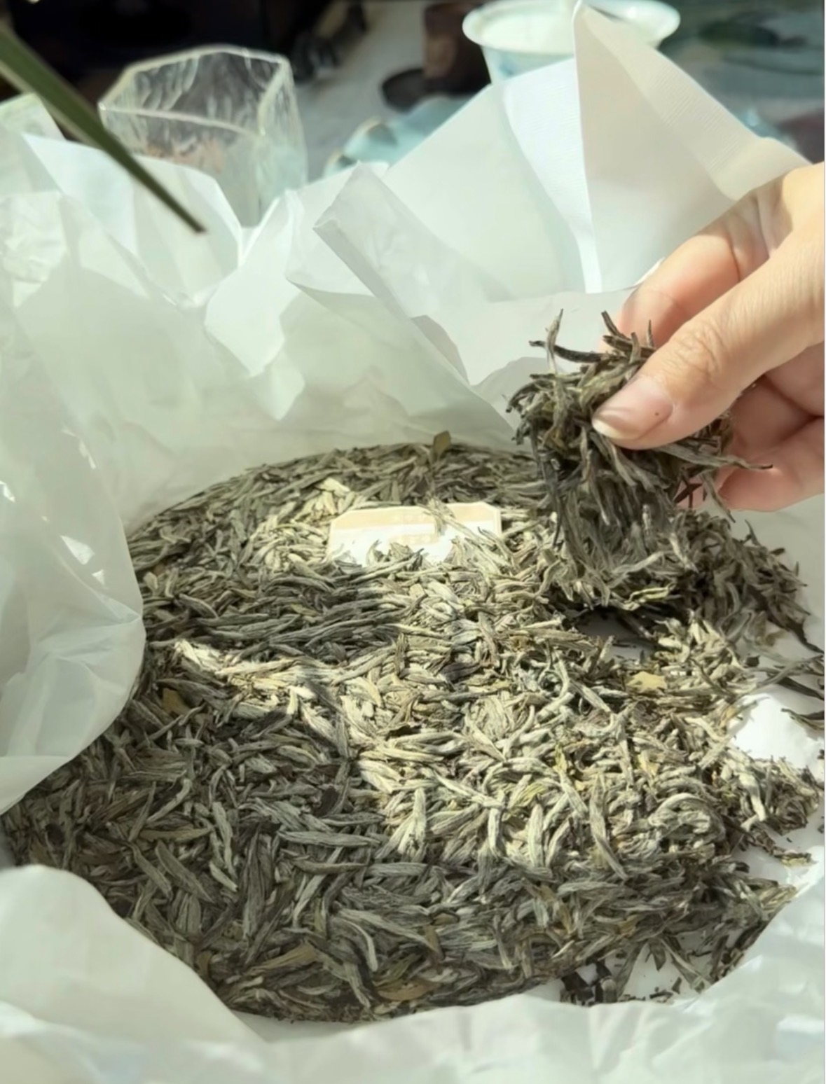 ✅ 核心卖点： 头春头采｜芽头肥壮 毫香 配图1