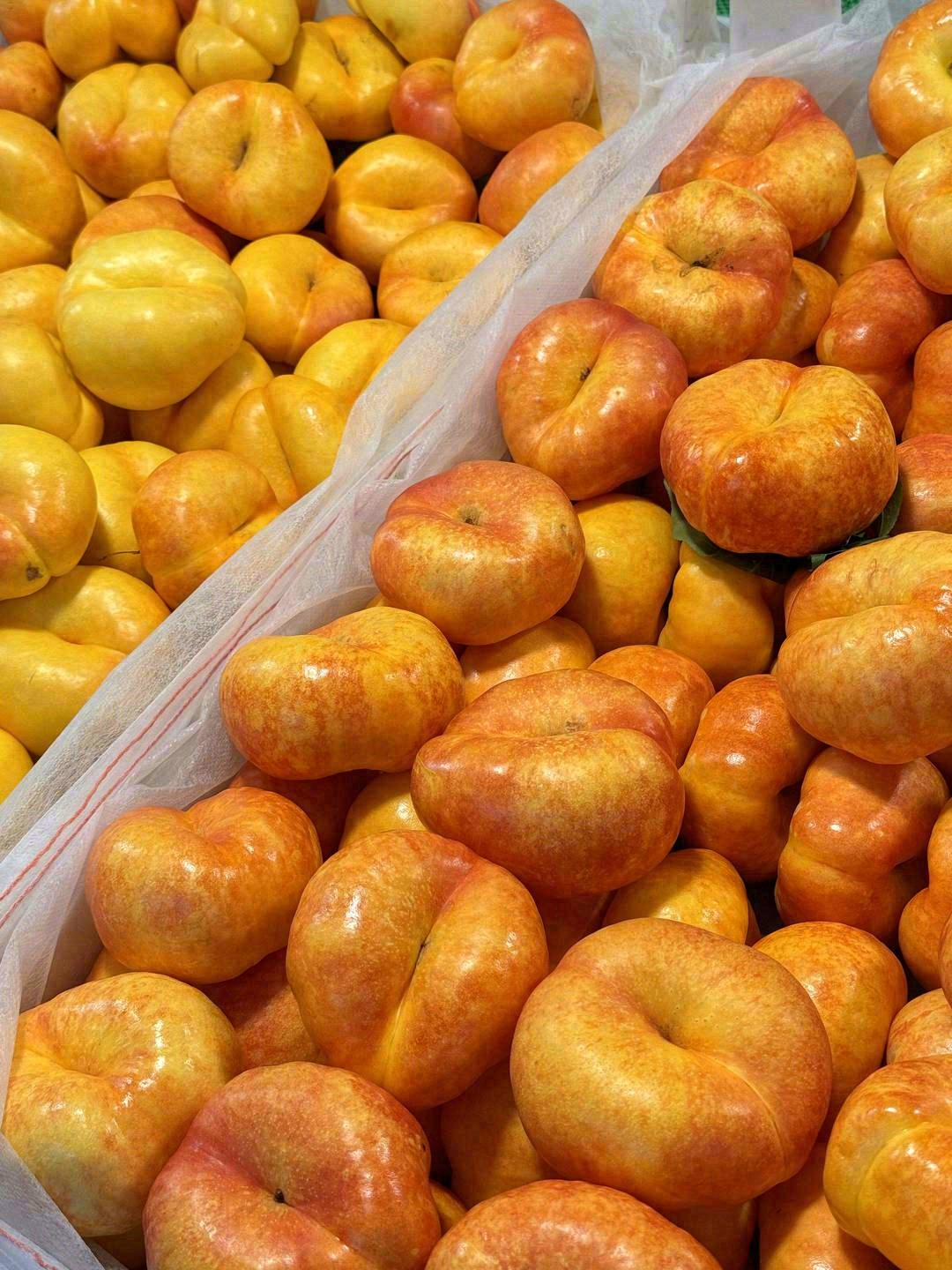 此桃🍑只应天上有，奈何仙果恋凡间🧚 彩虹 配图1