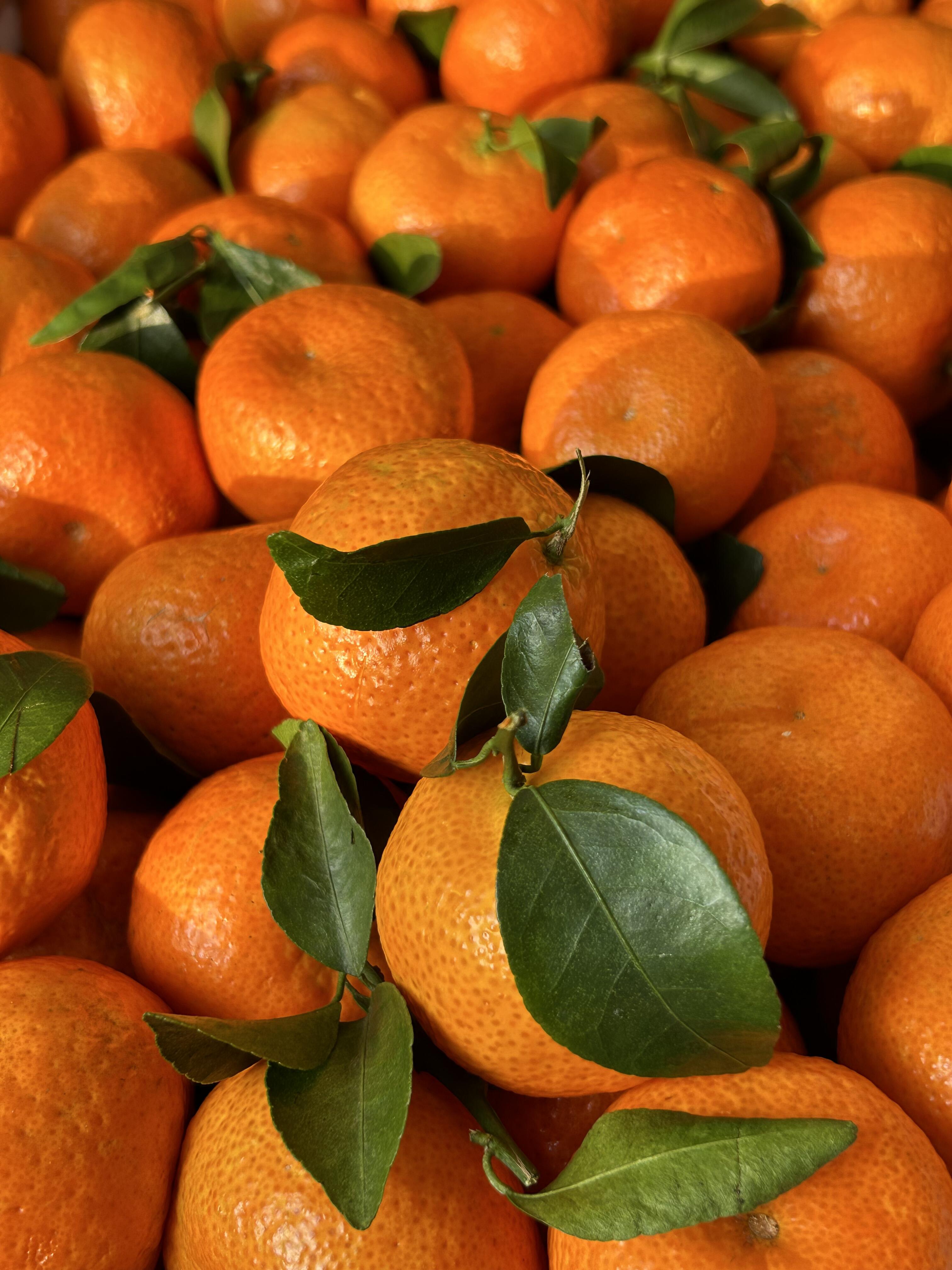 🍊 砂糖桔来啦！🍊 个头小巧皮薄肉满～一 配图2