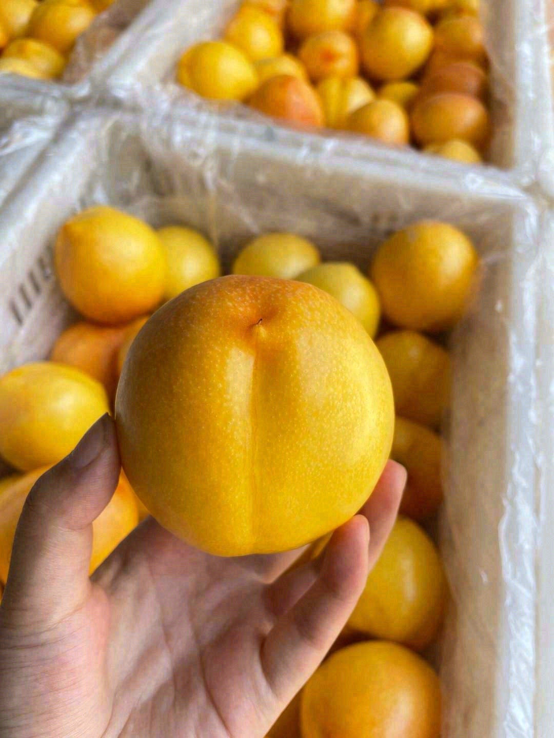 入口的一瞬间，对桃子有了新的定义👍！ 刚 配图1