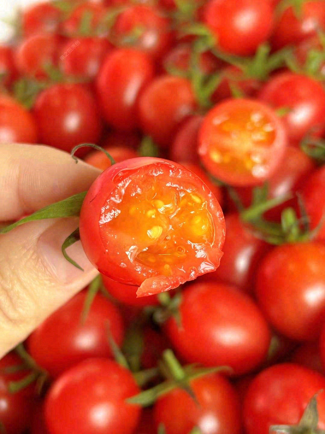 这个秋天，没你不行！ 🍅玲珑小番茄，❤番 配图1
