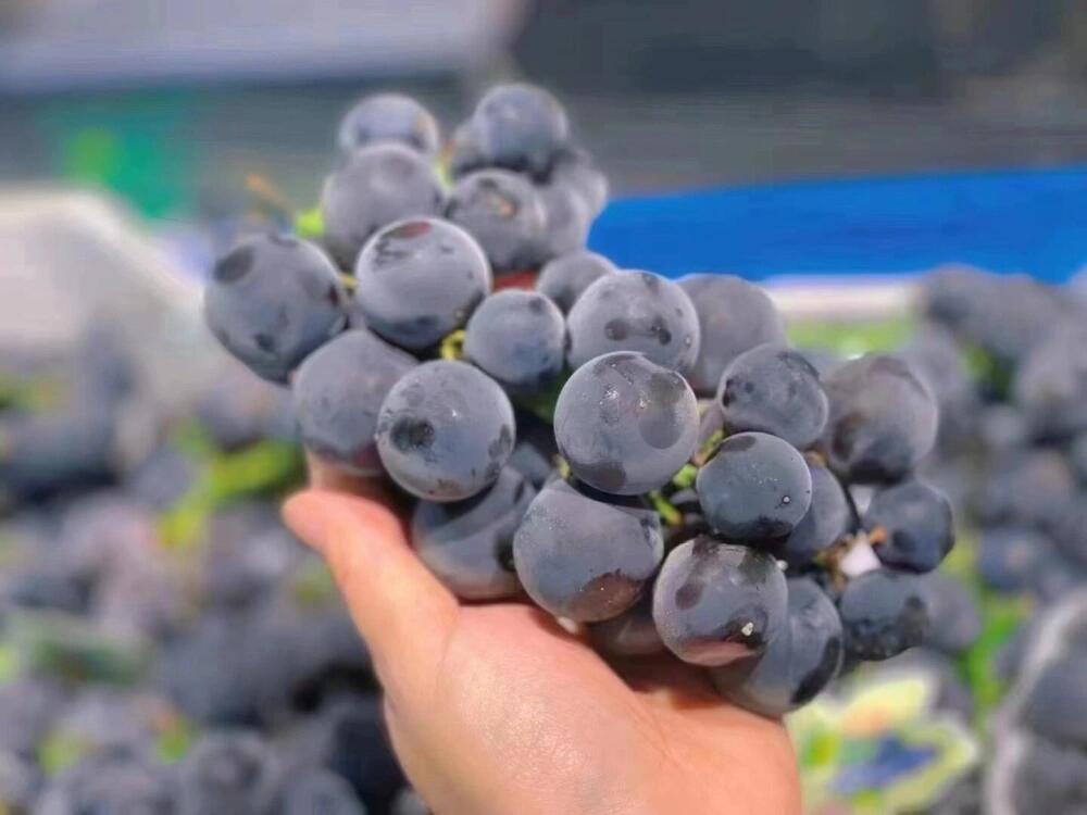 【今日份甜度已到货】🍎 🍇 🍑 水果摊是城市的充电站⚡咬一口 配图5