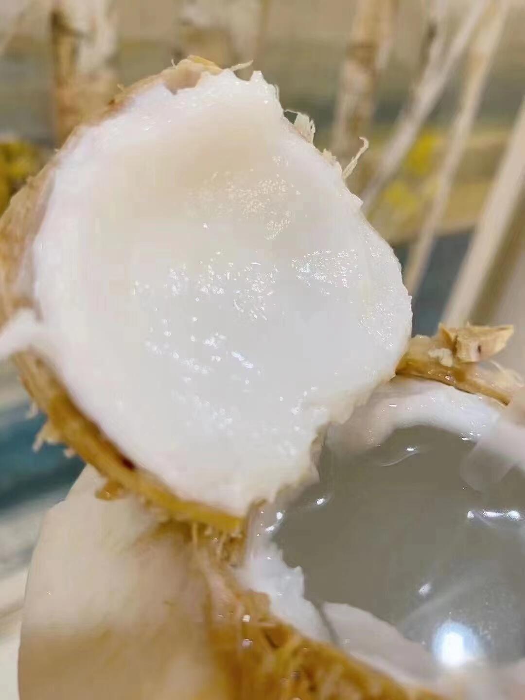 🥥泰国椰青继续热销中～ 椰汁清凉解暑，天 配图2