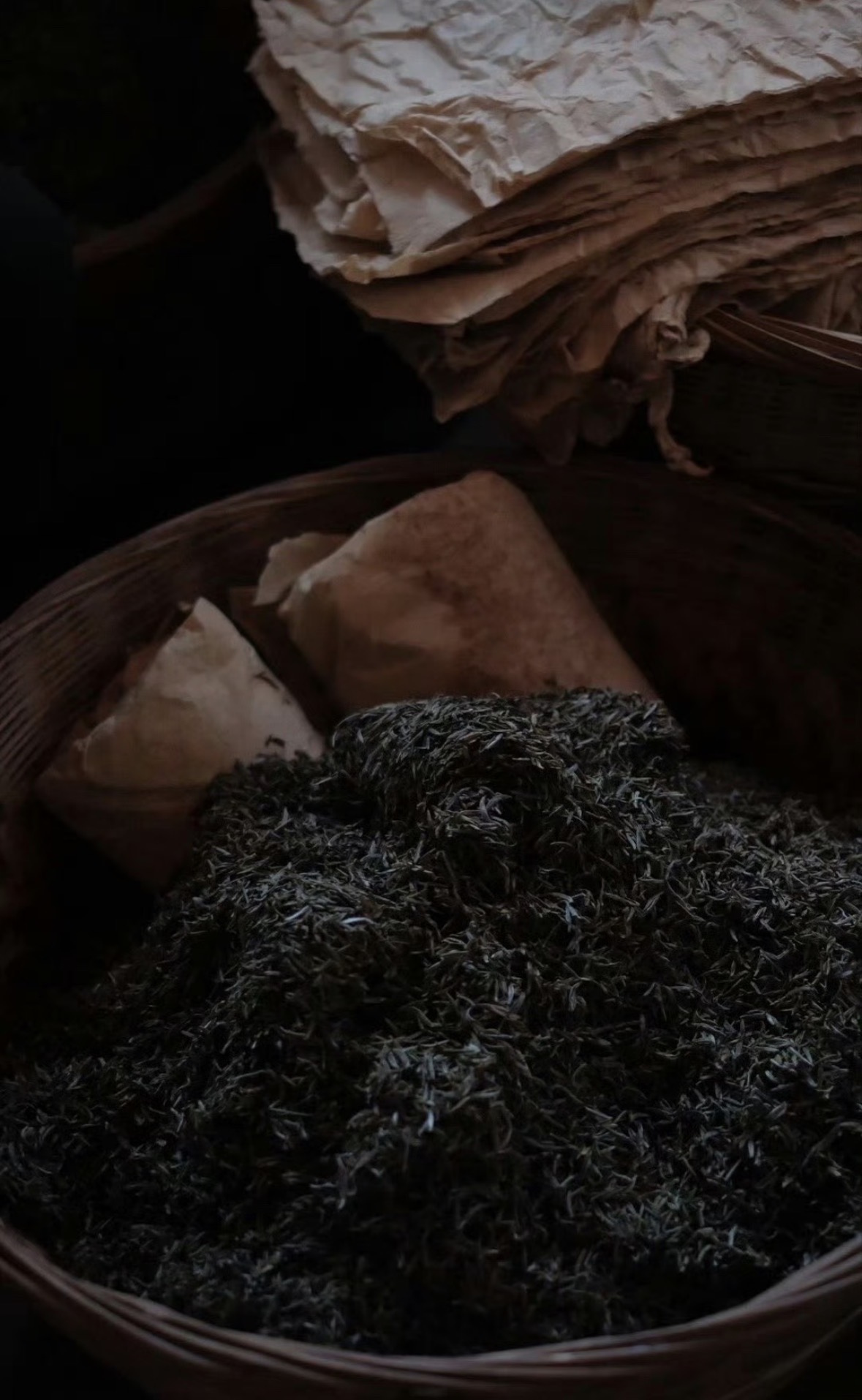 🍵手工黄芽｜核心卖点 ✅早春头采嫩芽，原 配图2