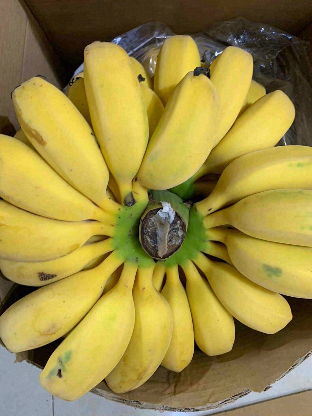 🍌鹅黄色的肉质紧实黏糯，就像在吃棉花糖一 配图3