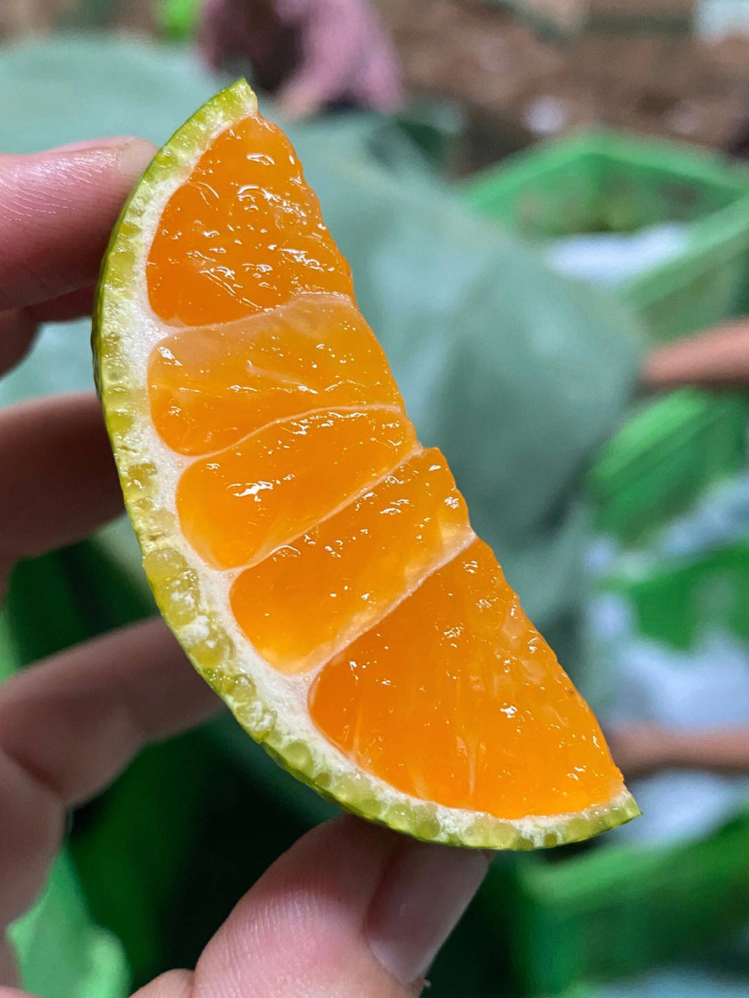 🍃当季最好吃的蜜橘，皮薄肉嫩，清爽香甜， 配图2