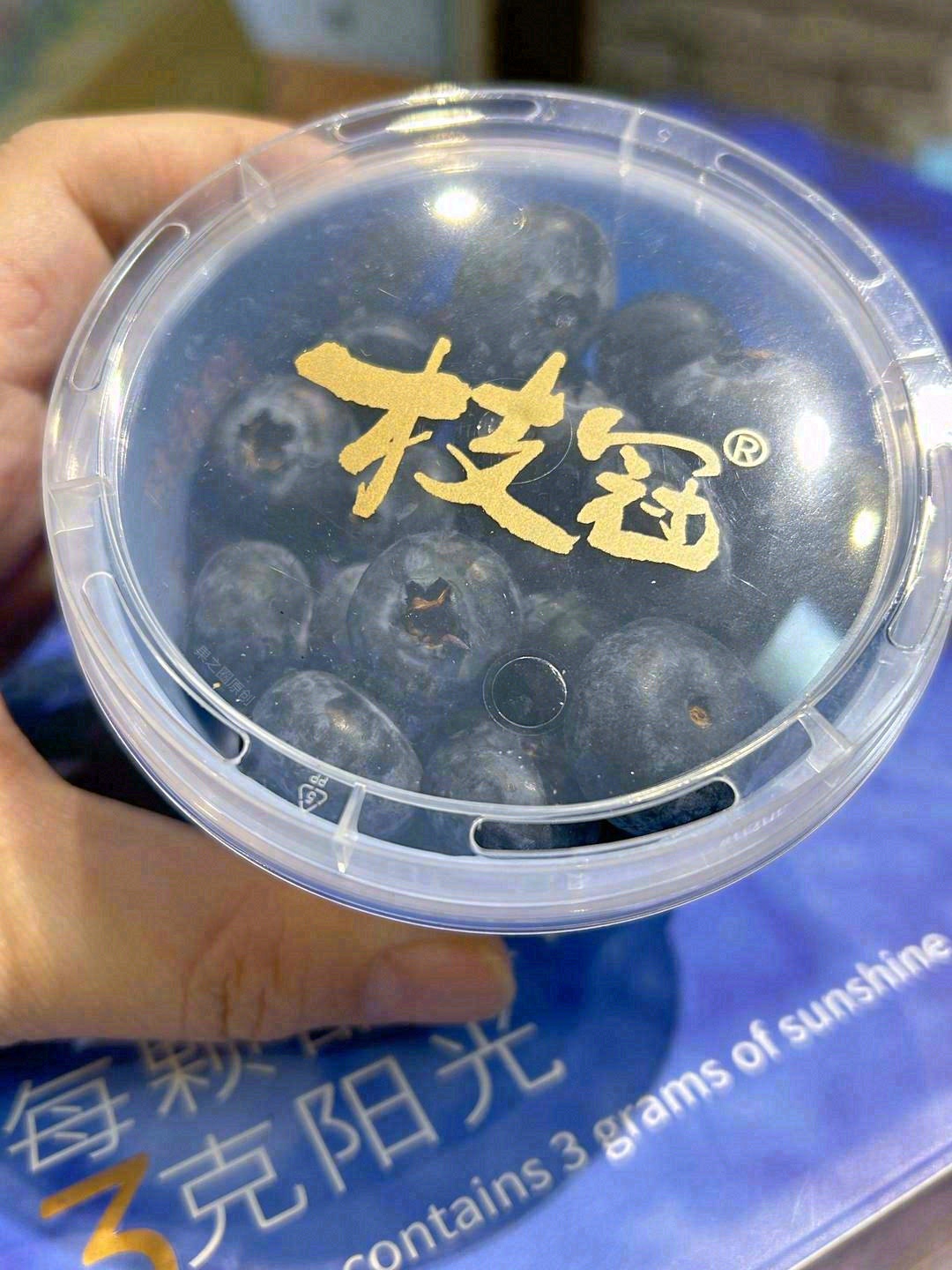 万物皆可爱，一颗永流传💎，愿你每天“莓” 配图1