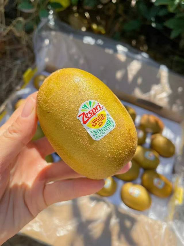 药补不如食补❤️ 新西兰🇳🇿佳沛金果☀️ 配图1