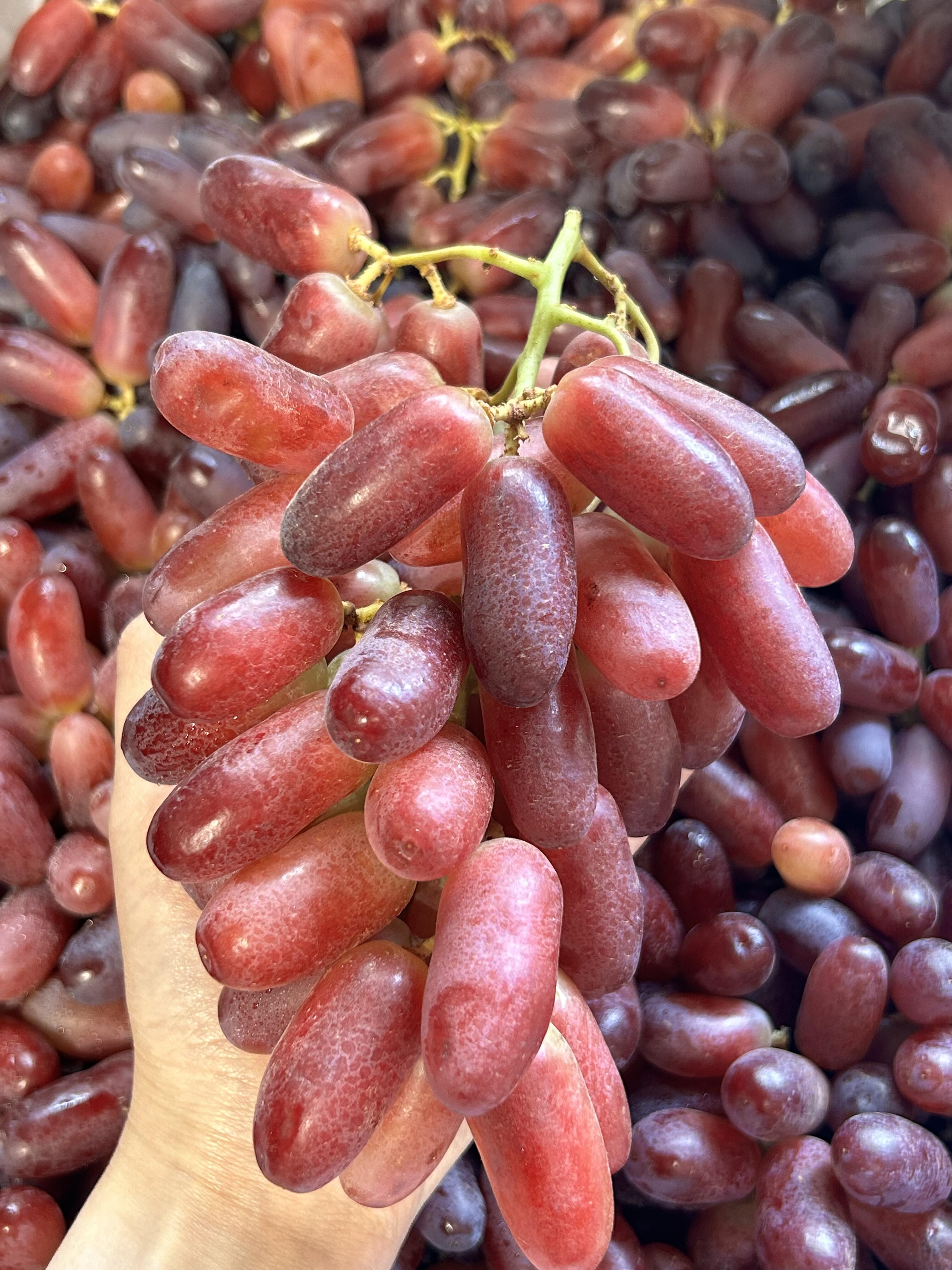 ❤️新货懒人福音👏 金手指红提🍇，自带光 配图1