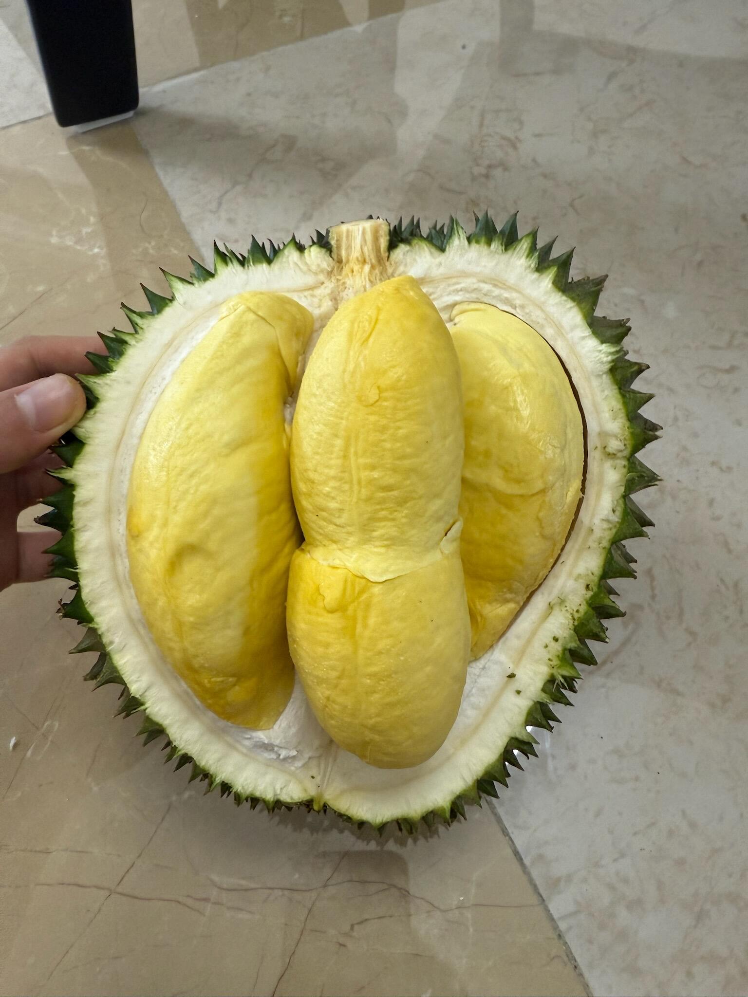👏🏻长柄榴莲来了‼️ 果肉厚实😎看着就很 配图2