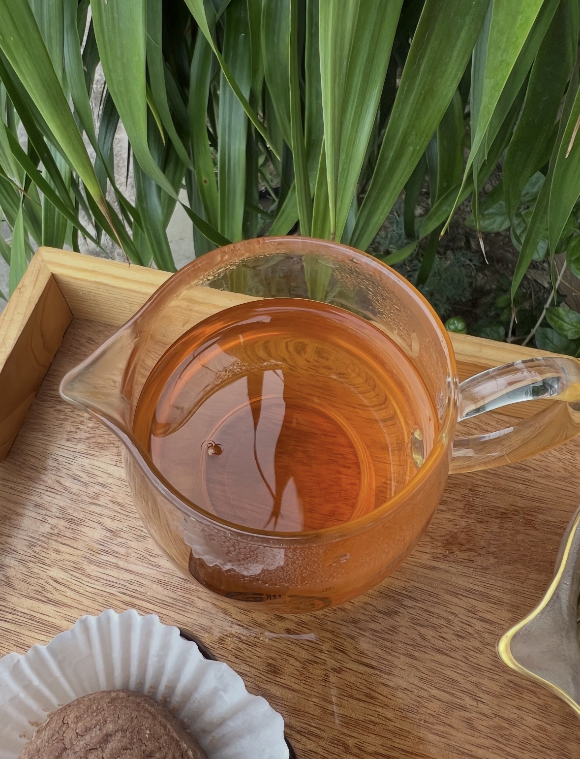 马蹄踏春归，单丛迎福来。愿新岁平安喜乐， 配图3