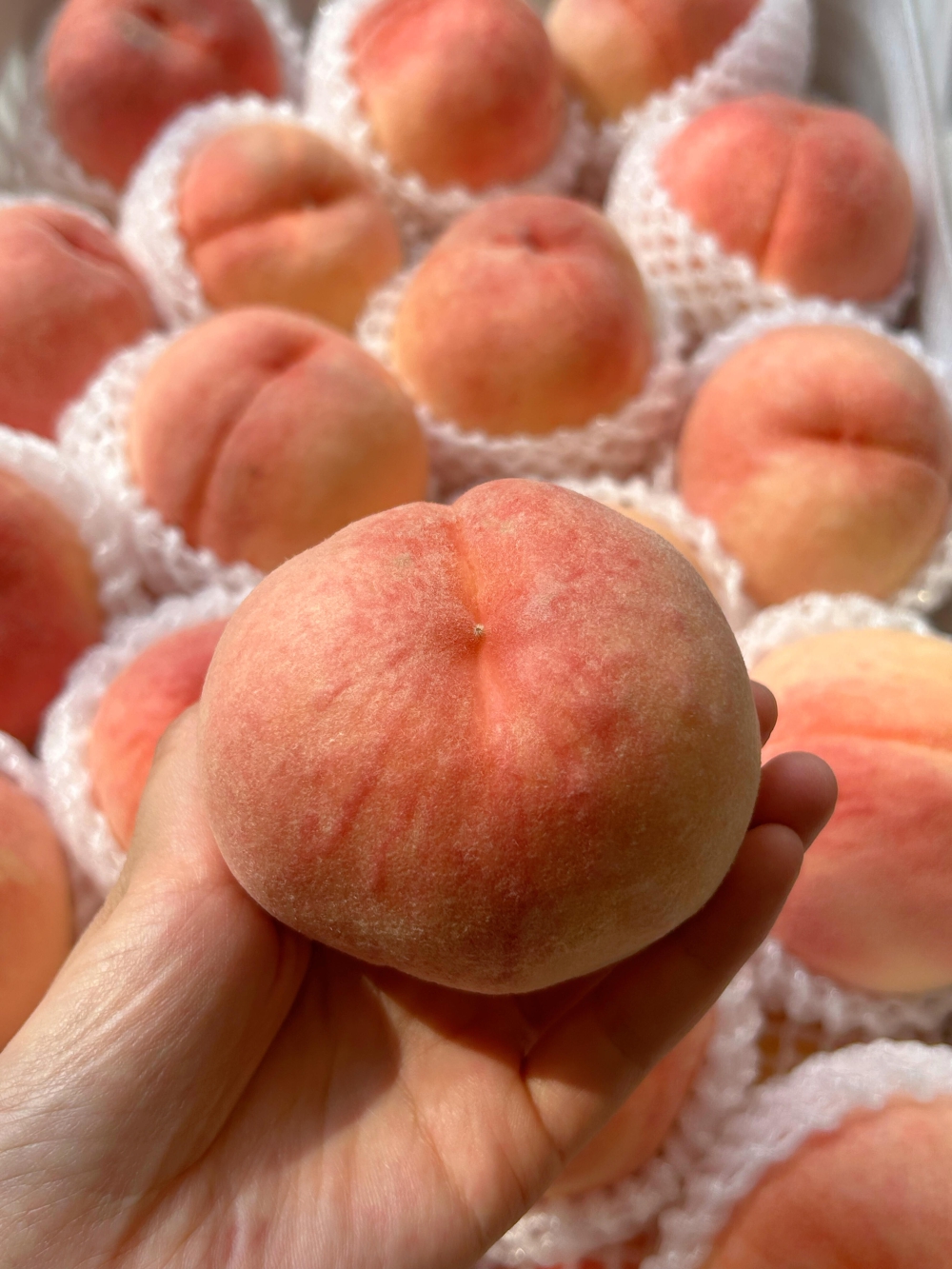 🍑水蜜桃，香，甜🍭味儿足刚上新的时候，下 配图1