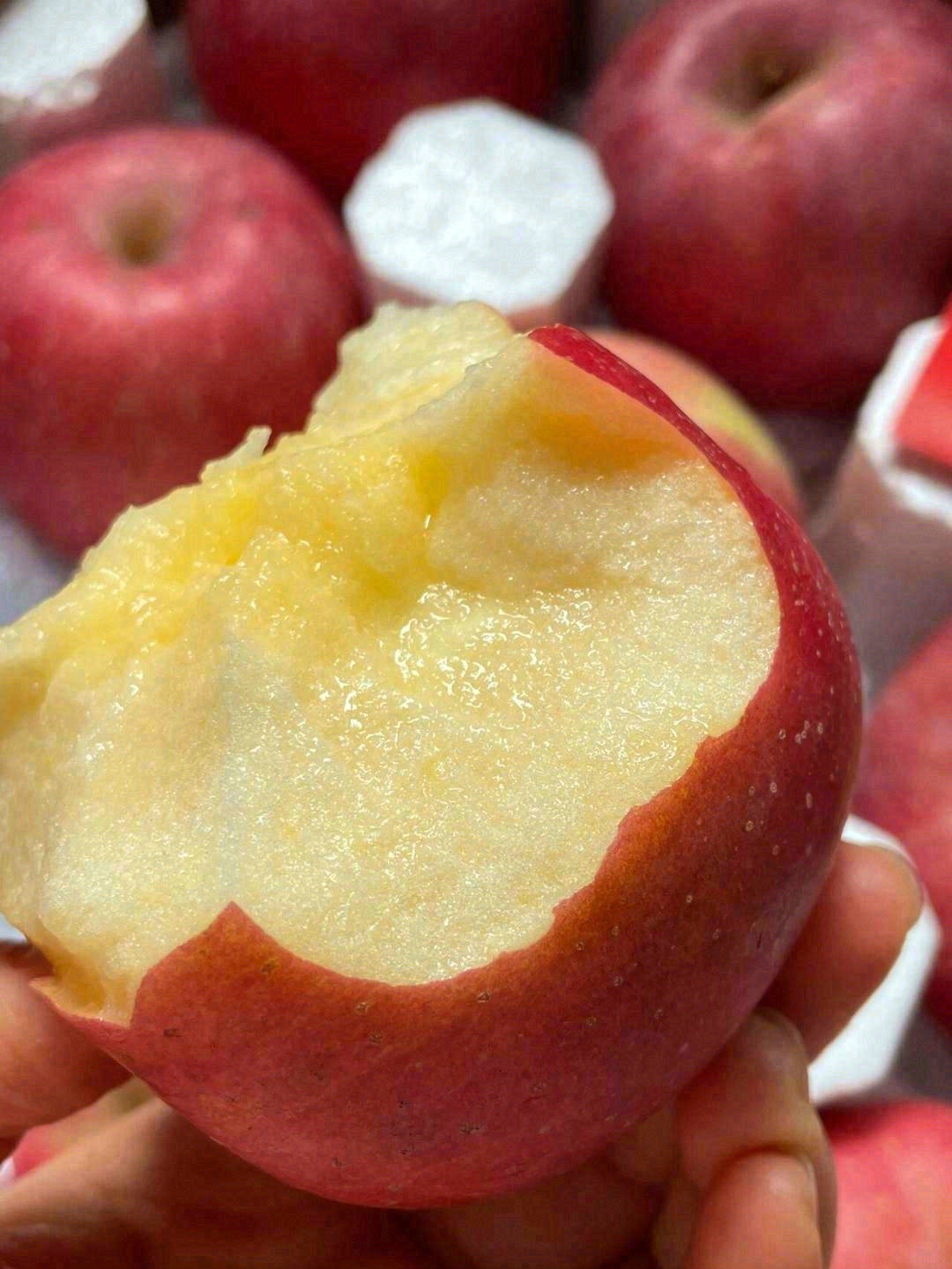 这是一颗离太阳🔆很近，离城市很远的苹果🍎 配图3