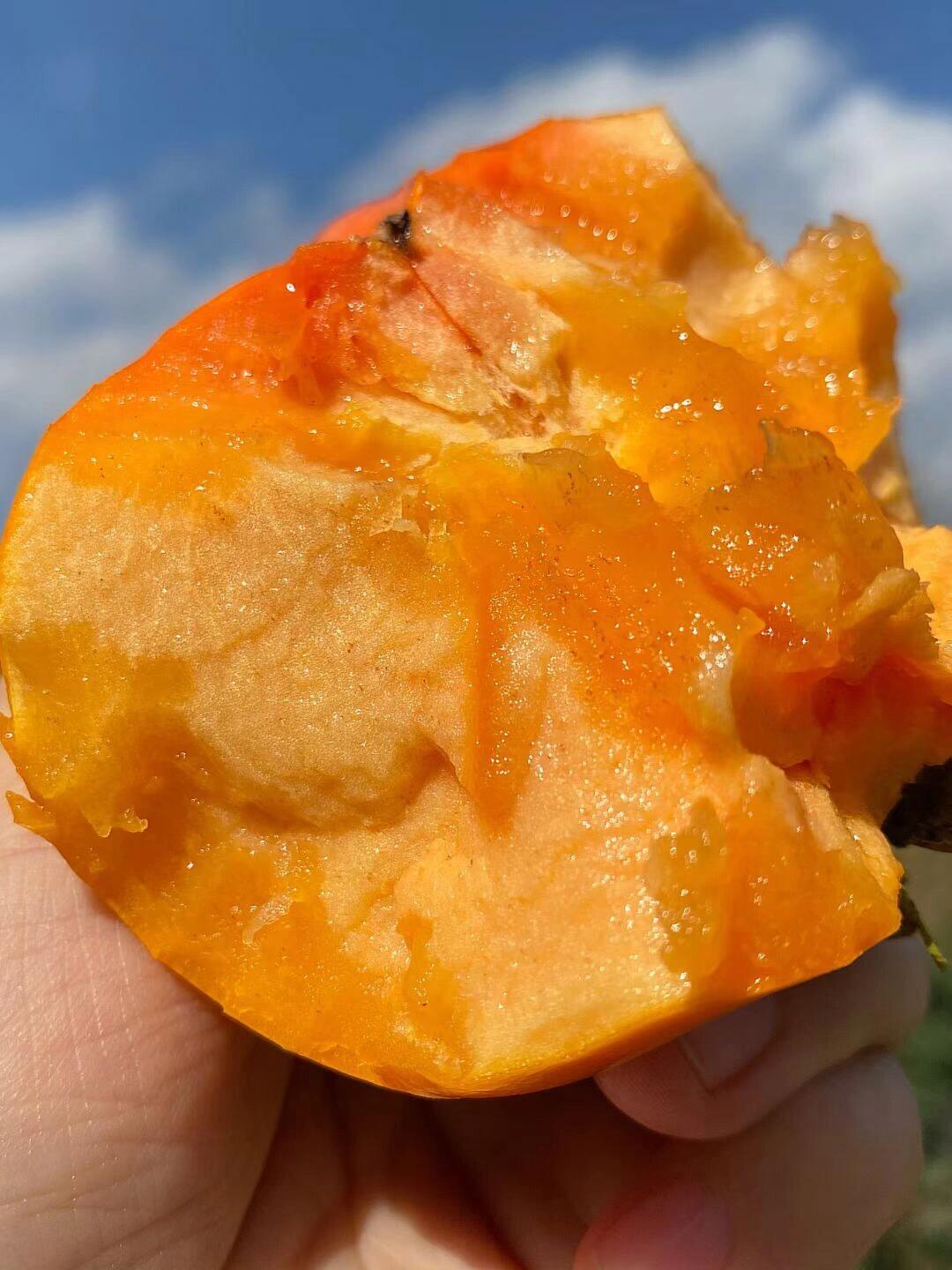 🍃 美好的一天从清晨开始 🌞 让新鲜水果为你开启一天的能量✨ 配图5