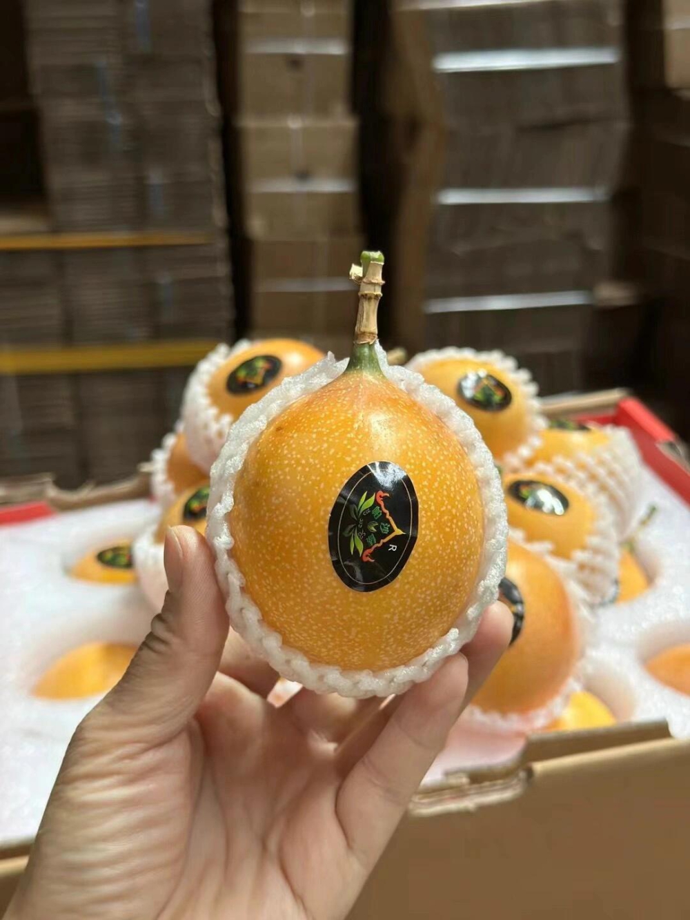 热情百分百的热情❤️‍🔥果🌸 治愈系水果 配图2