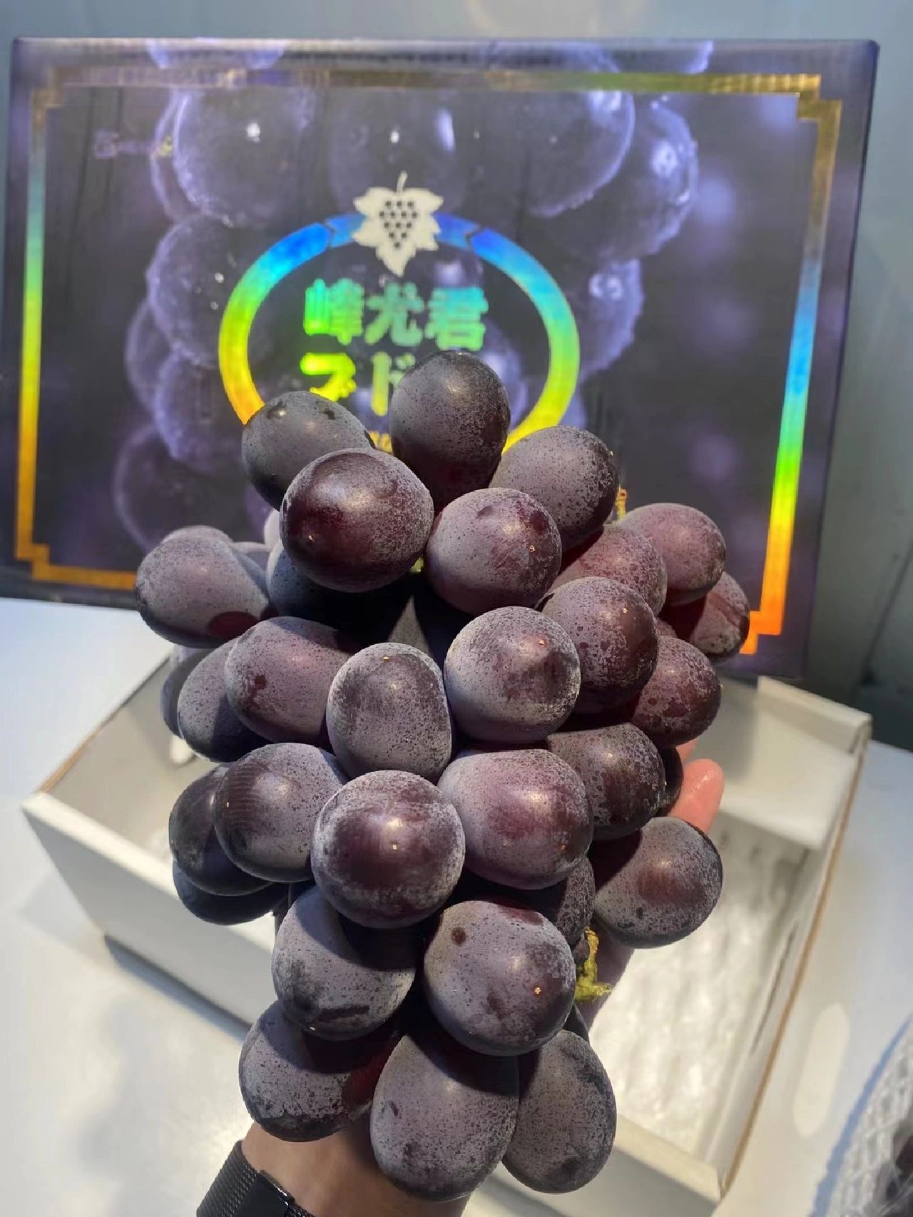 冬天想吃葡萄🍇，那么首选“辽峰”，果肉厚 配图3