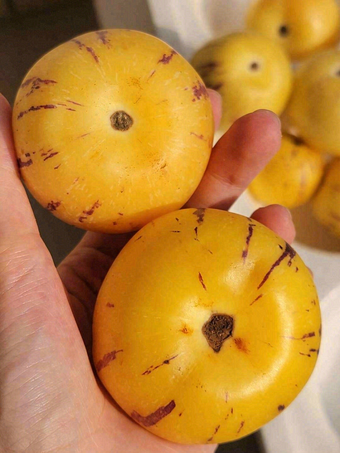 繁华有时，季节交替🍀 对于夏天的喜爱🐞， 配图2