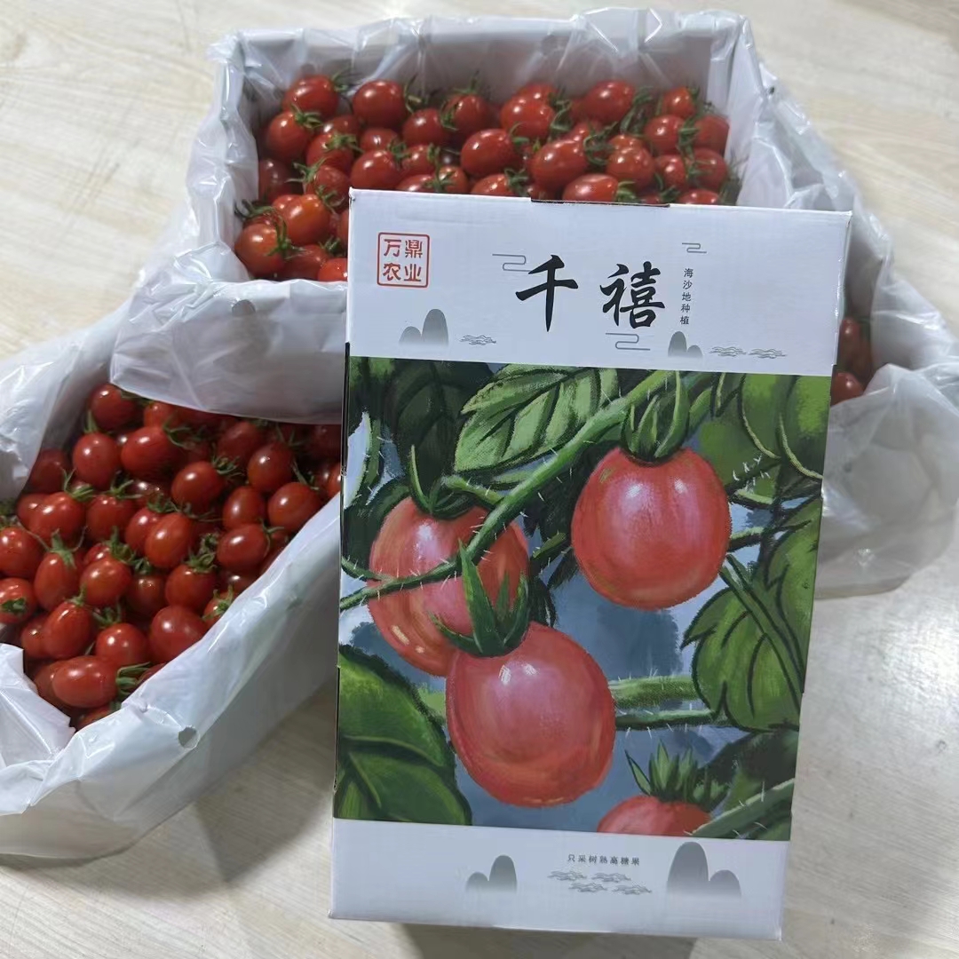 万鼎-红千禧🍅🍅 茂名电白千禧果，是不是 配图3