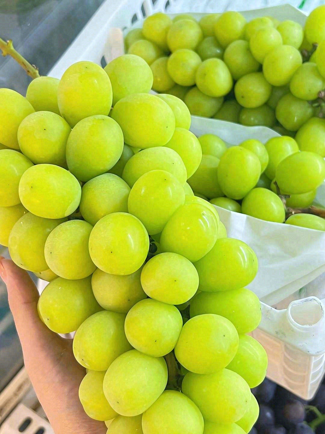 一串优质的阳光玫瑰🌷～ 太优秀了👍️ 颗 配图2