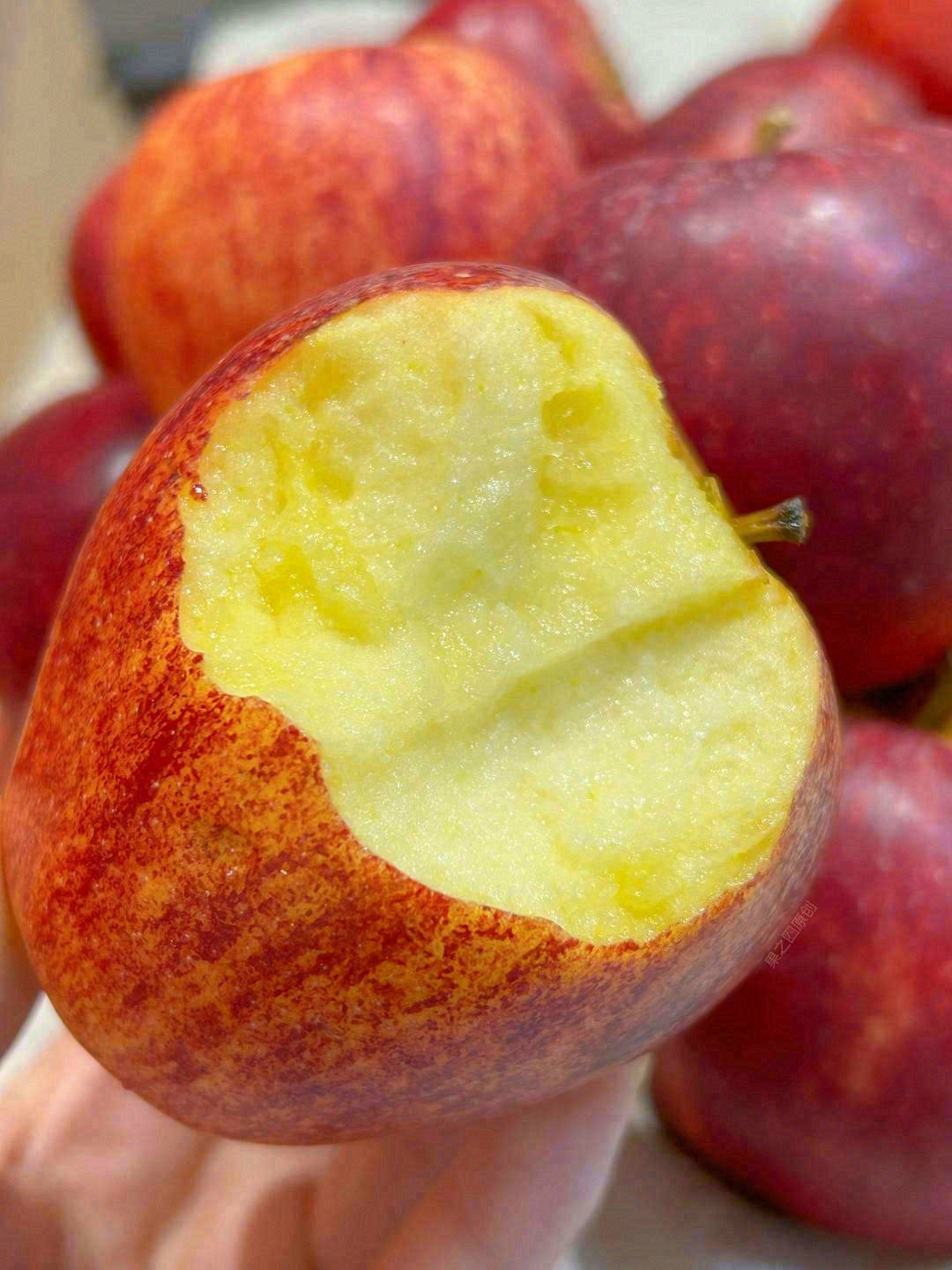 红彤彤的苹果🍎🍎 小巧可爱，颜色亮丽 一 配图1