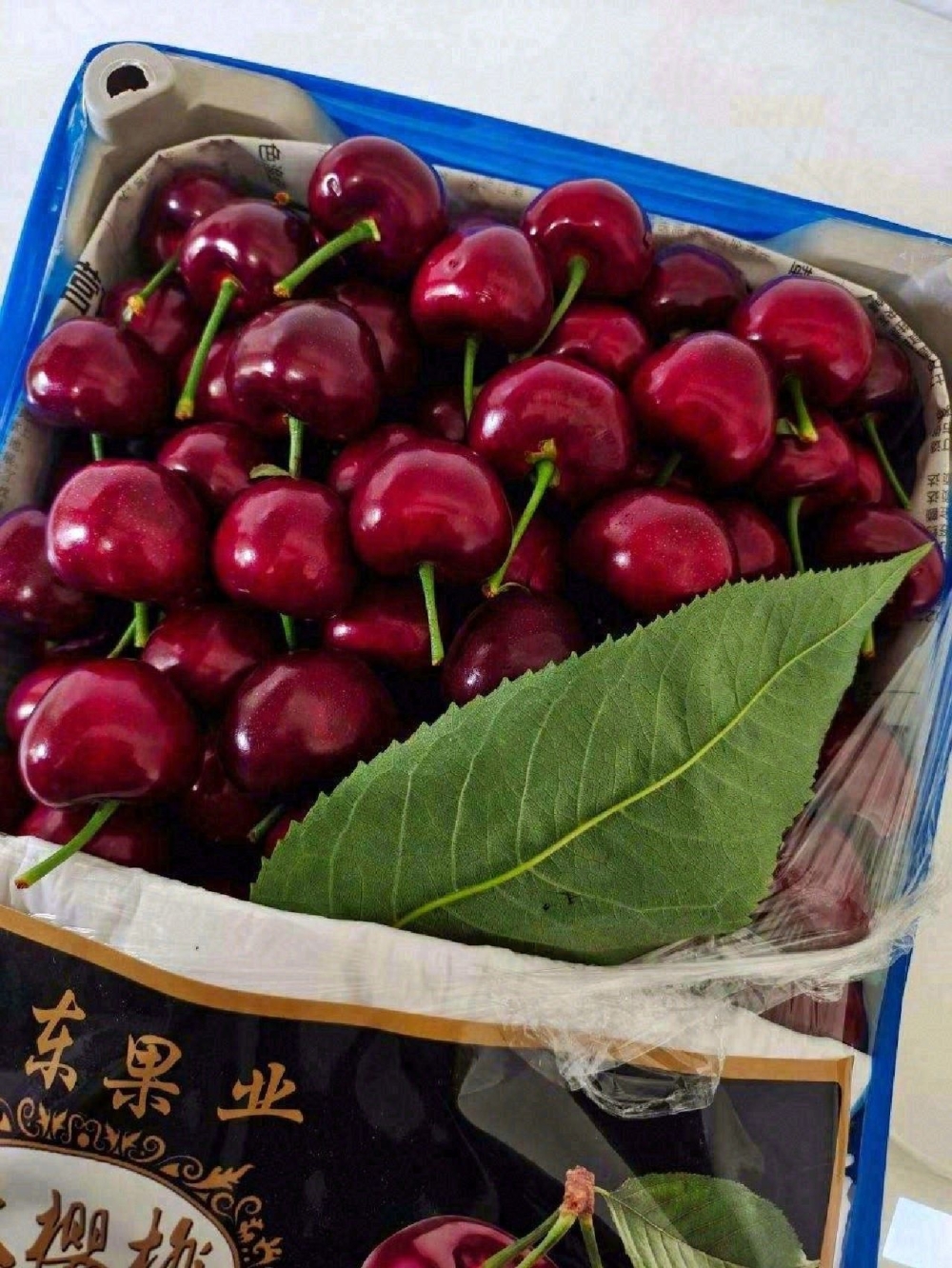 大连樱桃，真正实现自由的时候到了🥰如果是 配图2
