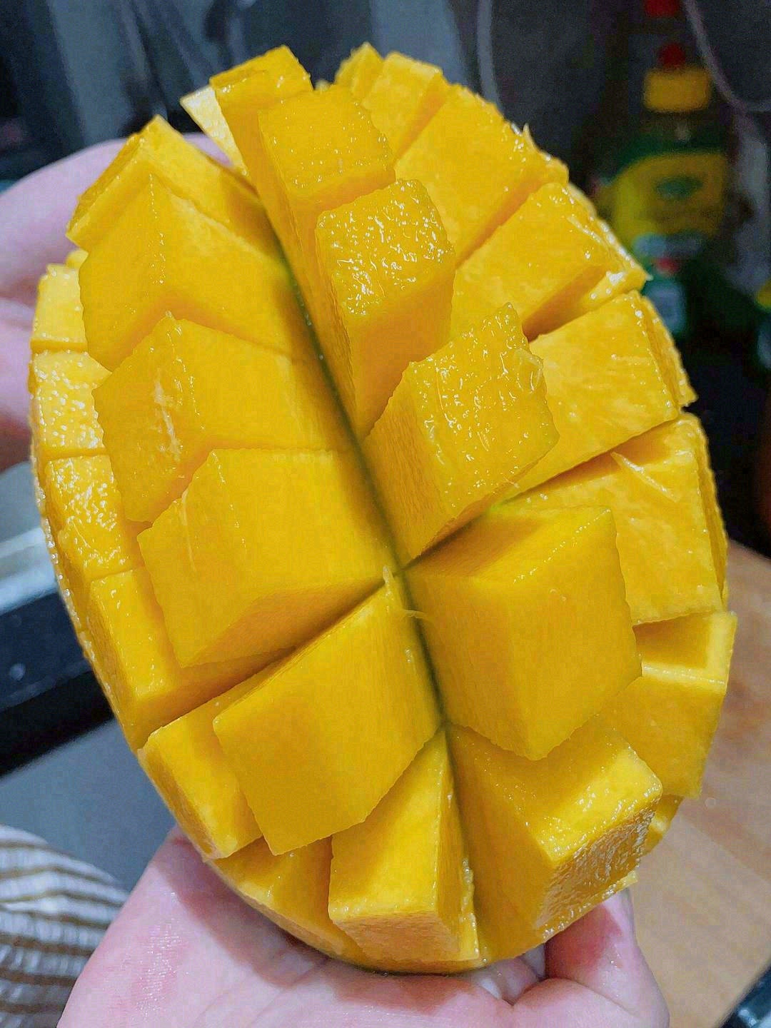 🍃那么绿的外表下内心这么黄💛 🧚‍♀️它 配图2