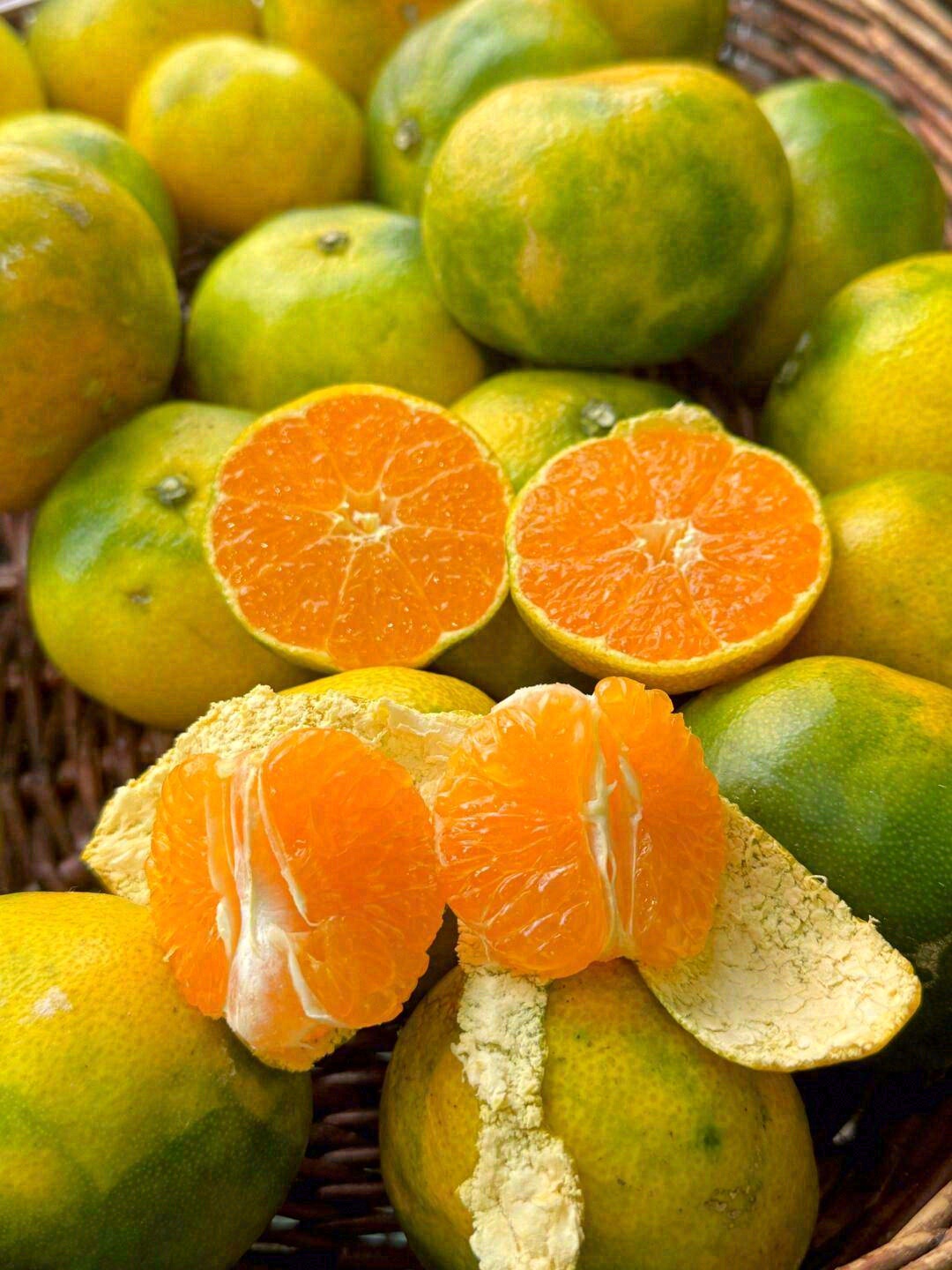🍊每一个细小的橘子颗粒里，都包裹着满满的 配图3