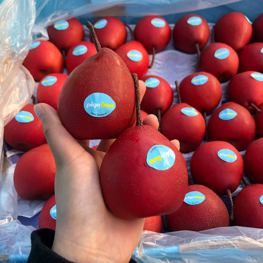 新西兰红啤梨！🍐表皮红色带斑点，内部果肉 配图2