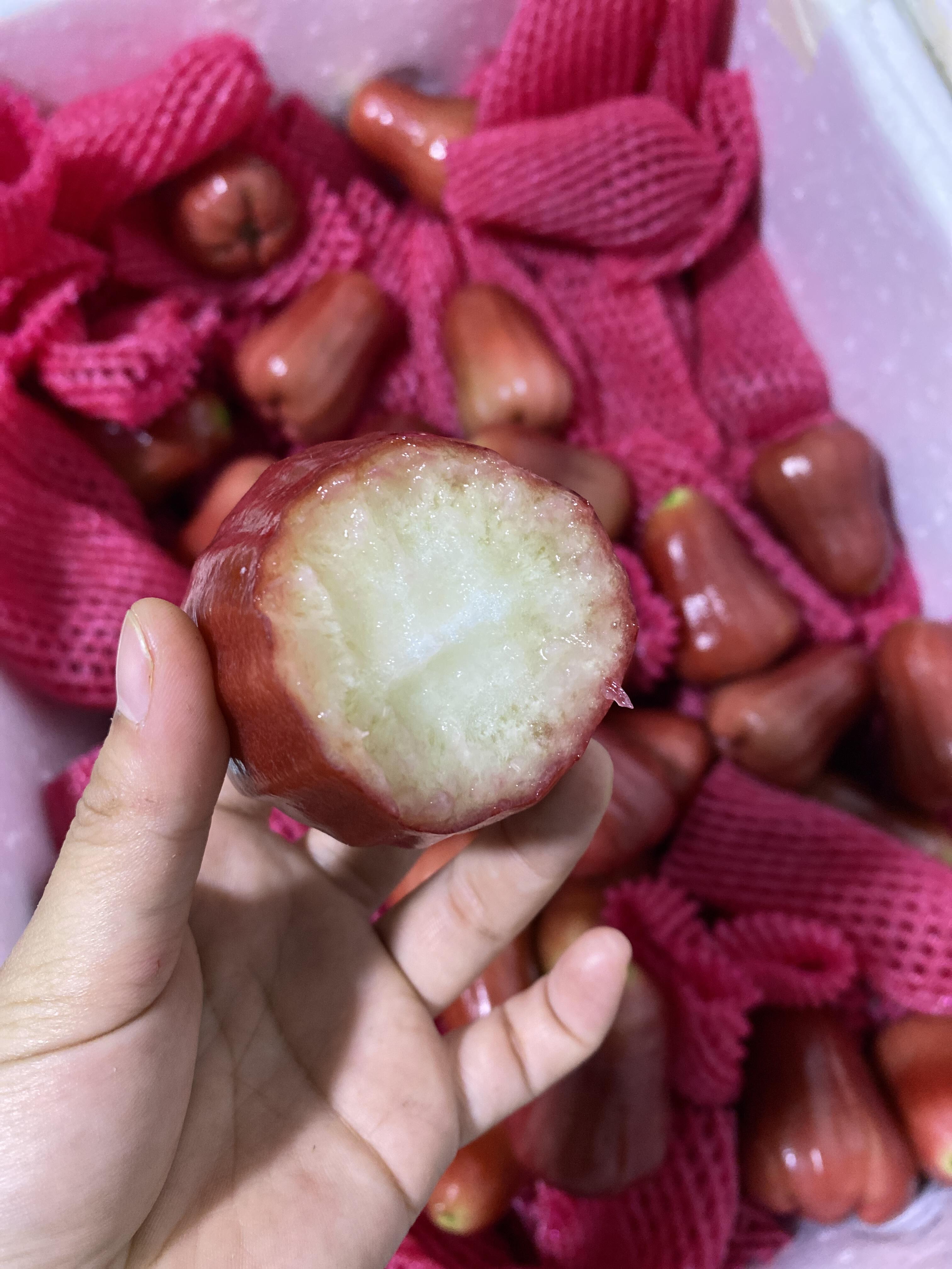 黑金刚莲雾 完全不够吃的节奏～ 清甜，爽 配图1