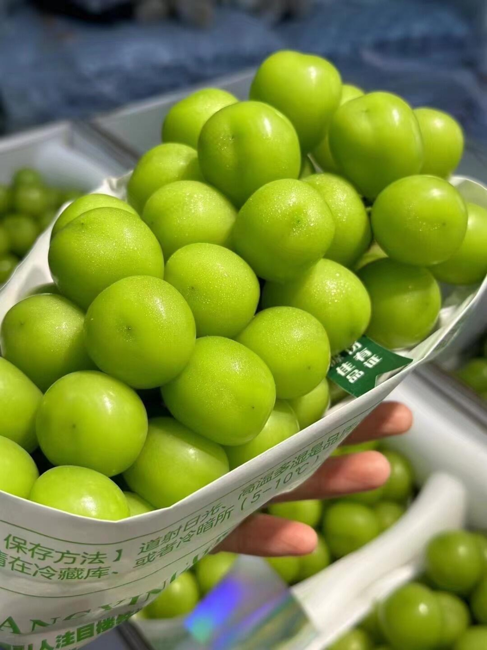 葡萄中的“C位”-晴王葡萄🍇 楼铁源不是 配图3