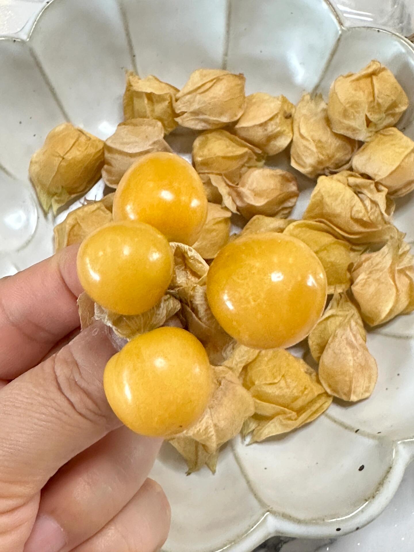 ⚠️👍到货🉐️姑娘果💛 神奇的小金豆儿！ 配图1