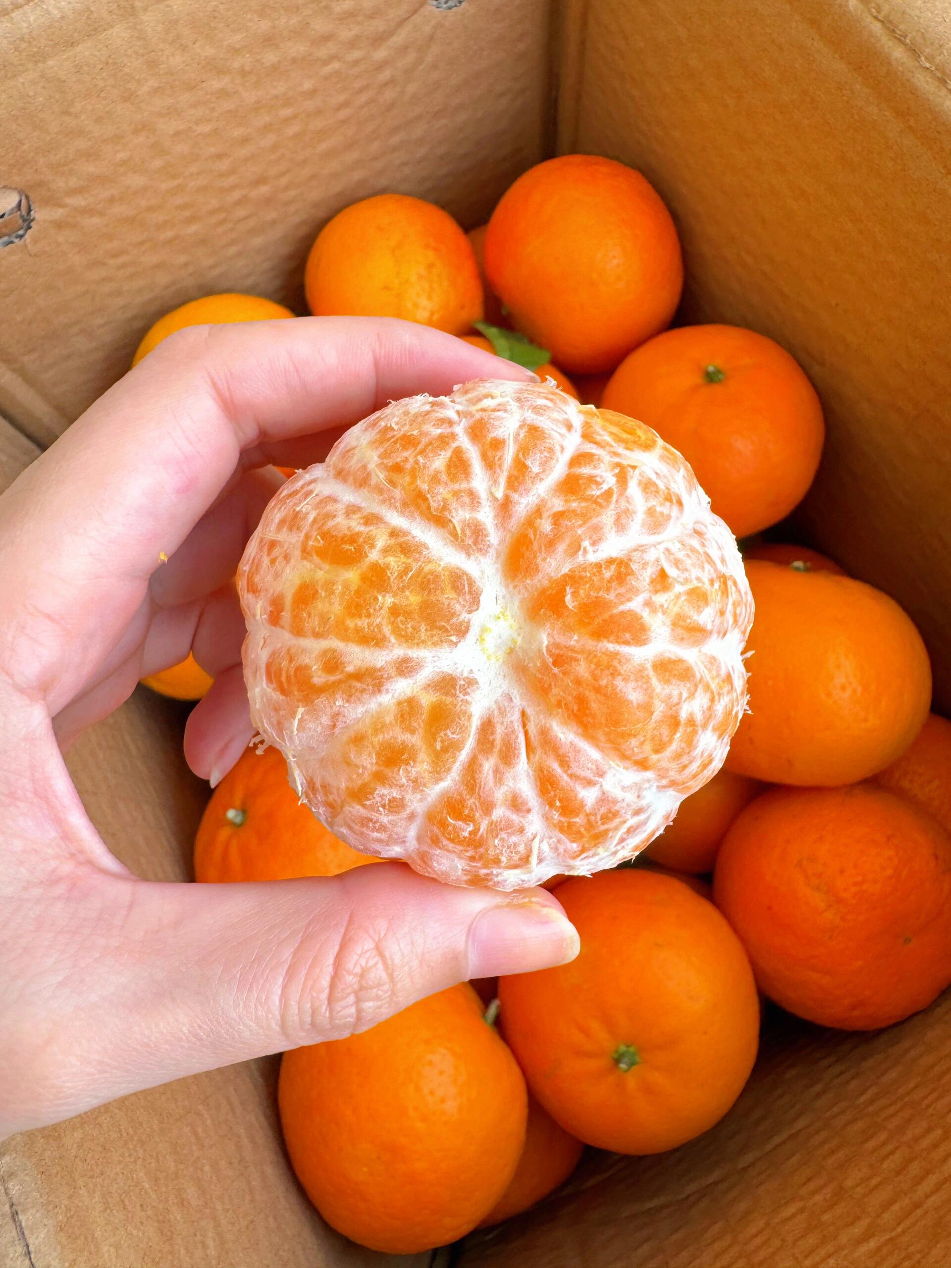 🍊沃柑甜过初恋！ 皮薄汁多，一口咬下去汁 配图1