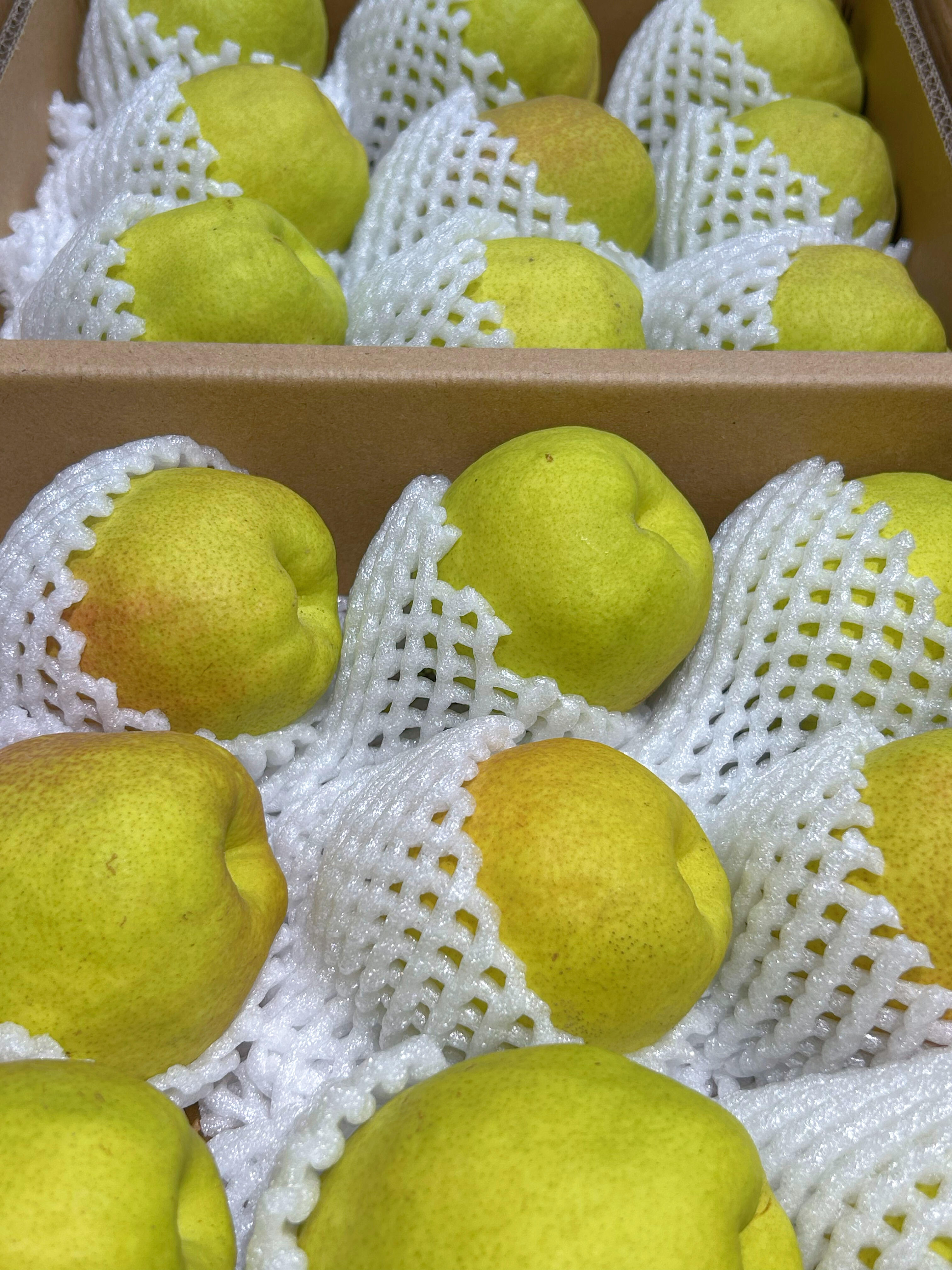 ❤️润肺必吃｜新疆库尔勒香梨🍐 一不注意 配图2
