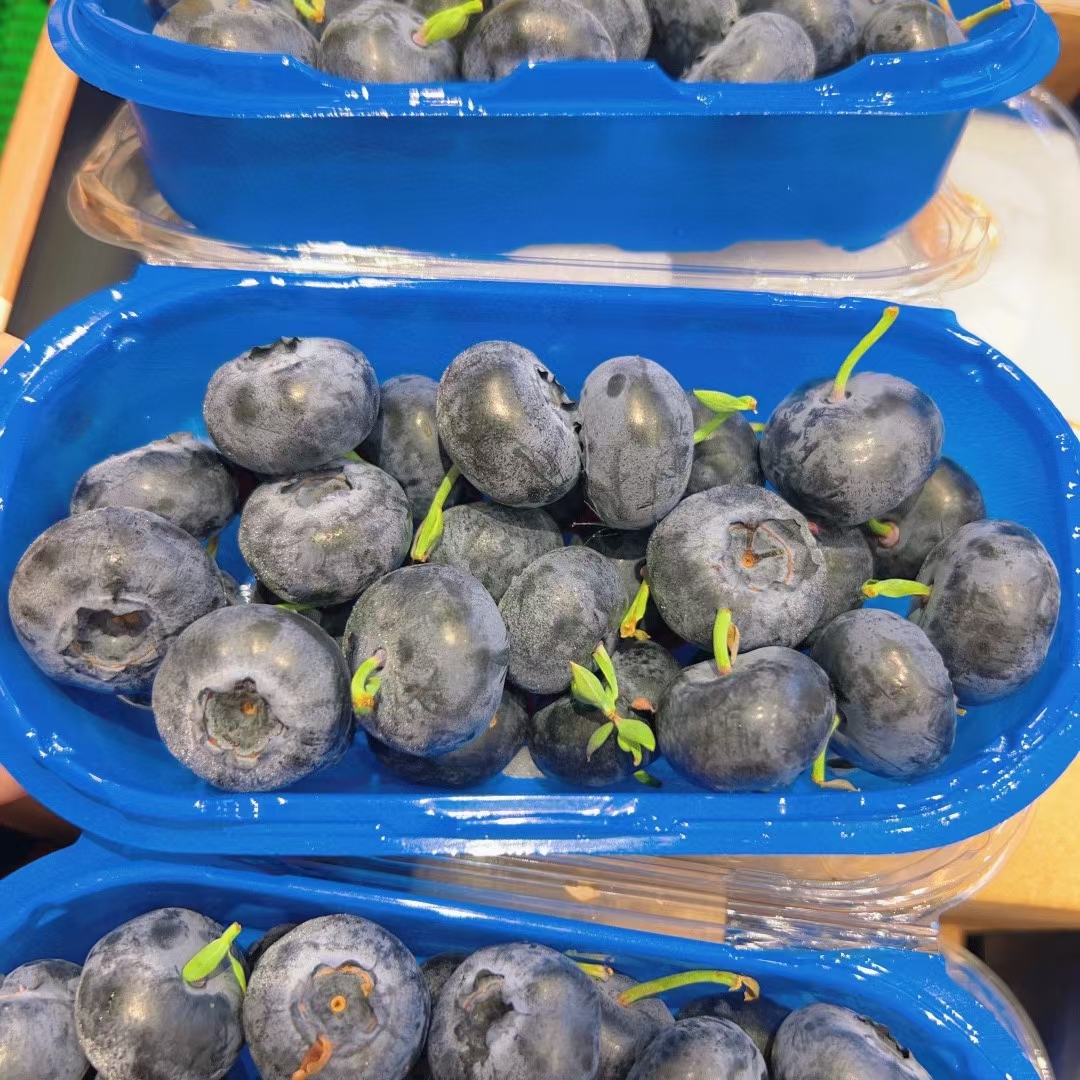 这大蓝莓🫐真的超爱😘 👑24+云南蓝莓  配图1