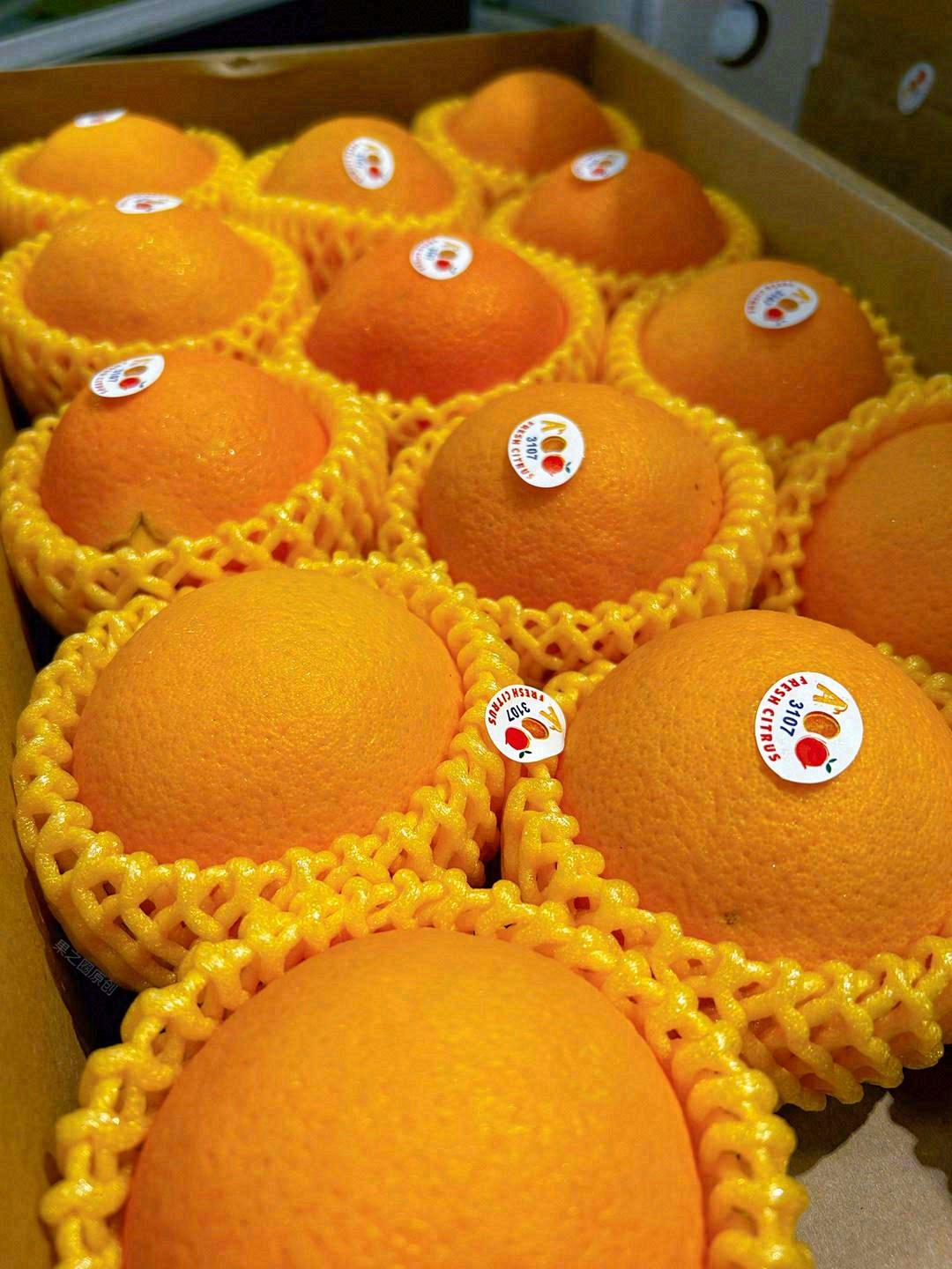 拥有太阳的专属颜色🌞 一口阳光脐橙🍊，仿 配图3