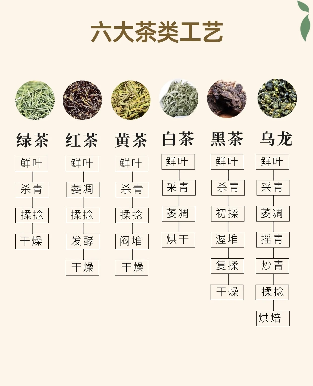 六大茶类工艺说明，到冲泡详解，到代表茶的 配图2