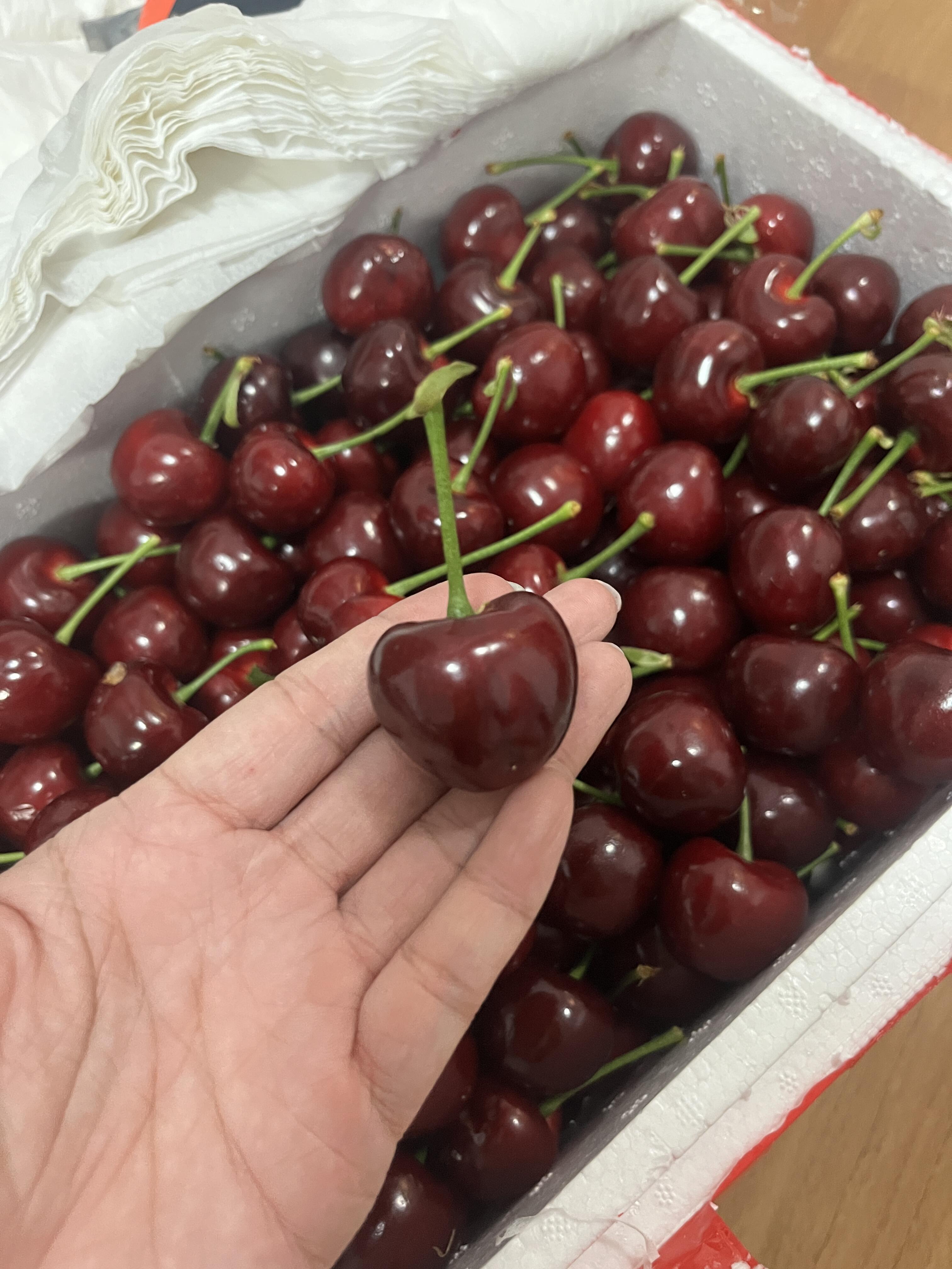 🍒 美早樱桃上市！🍒 红得发紫像玛瑙～颗 配图2