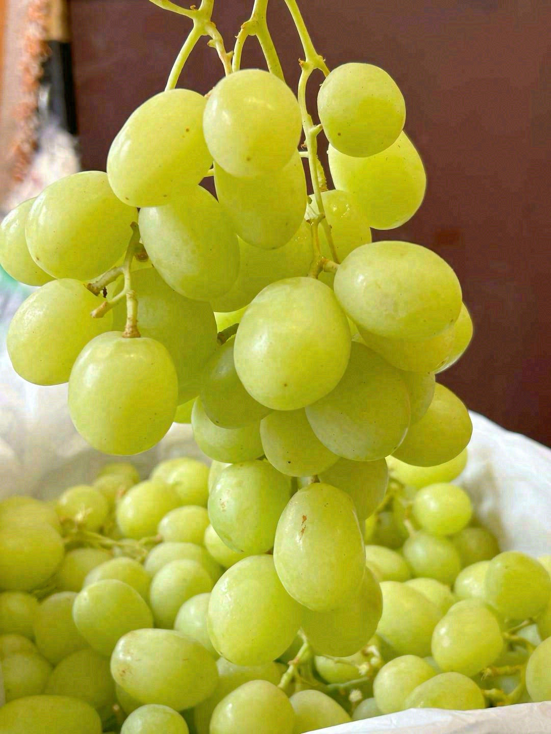这串甜地球，拿在手上晶莹剔透🍇，入口“B 配图2