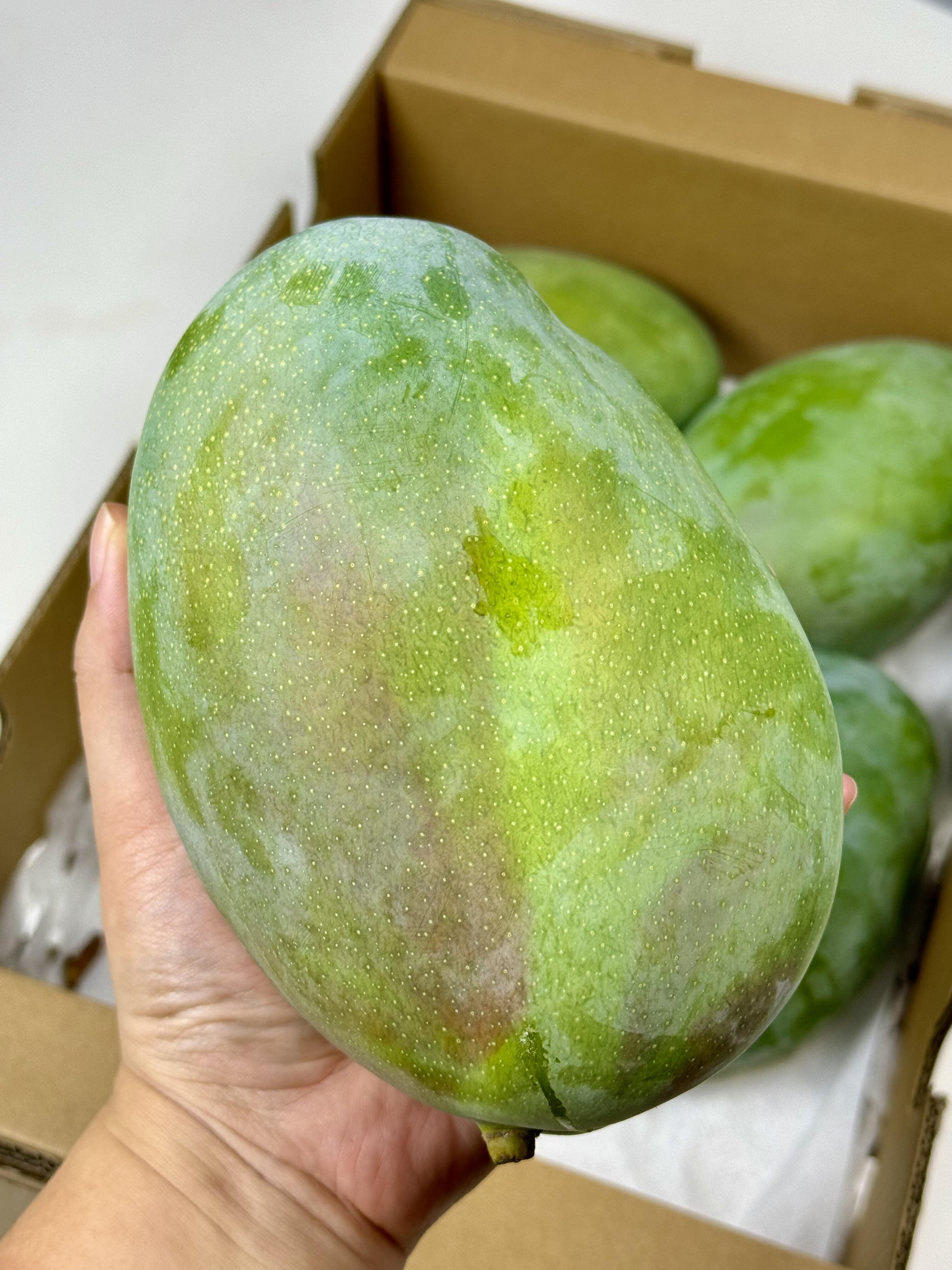 今日分享—凯特芒🥭口感爆甜‼️ 舌尖上的 配图3