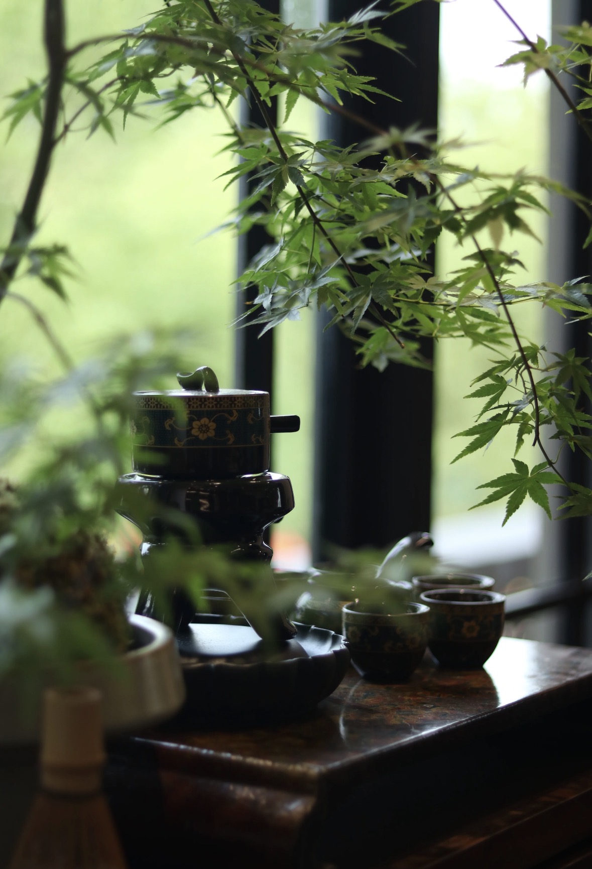 春归万物生✨，乌龙沁心脾。来自宝岛的云雾 配图3