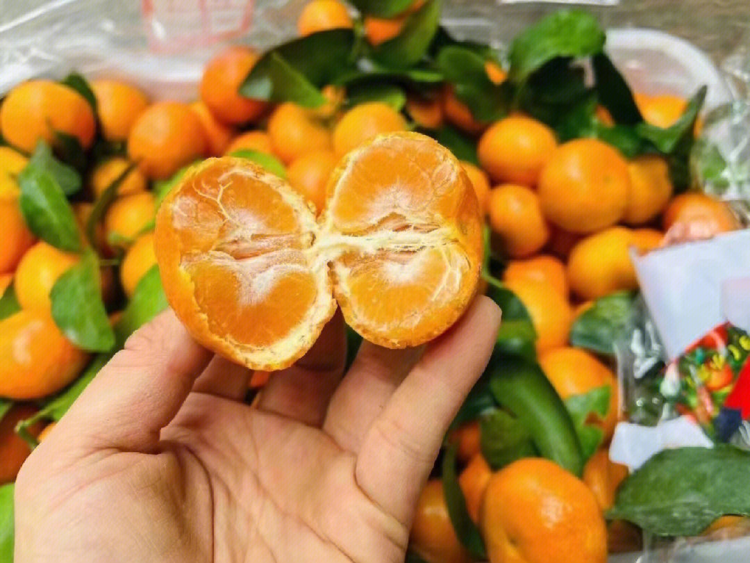 🍭🍭每到冬天必吃砂糖橘‼️ 没有砂糖橘🍊 配图2