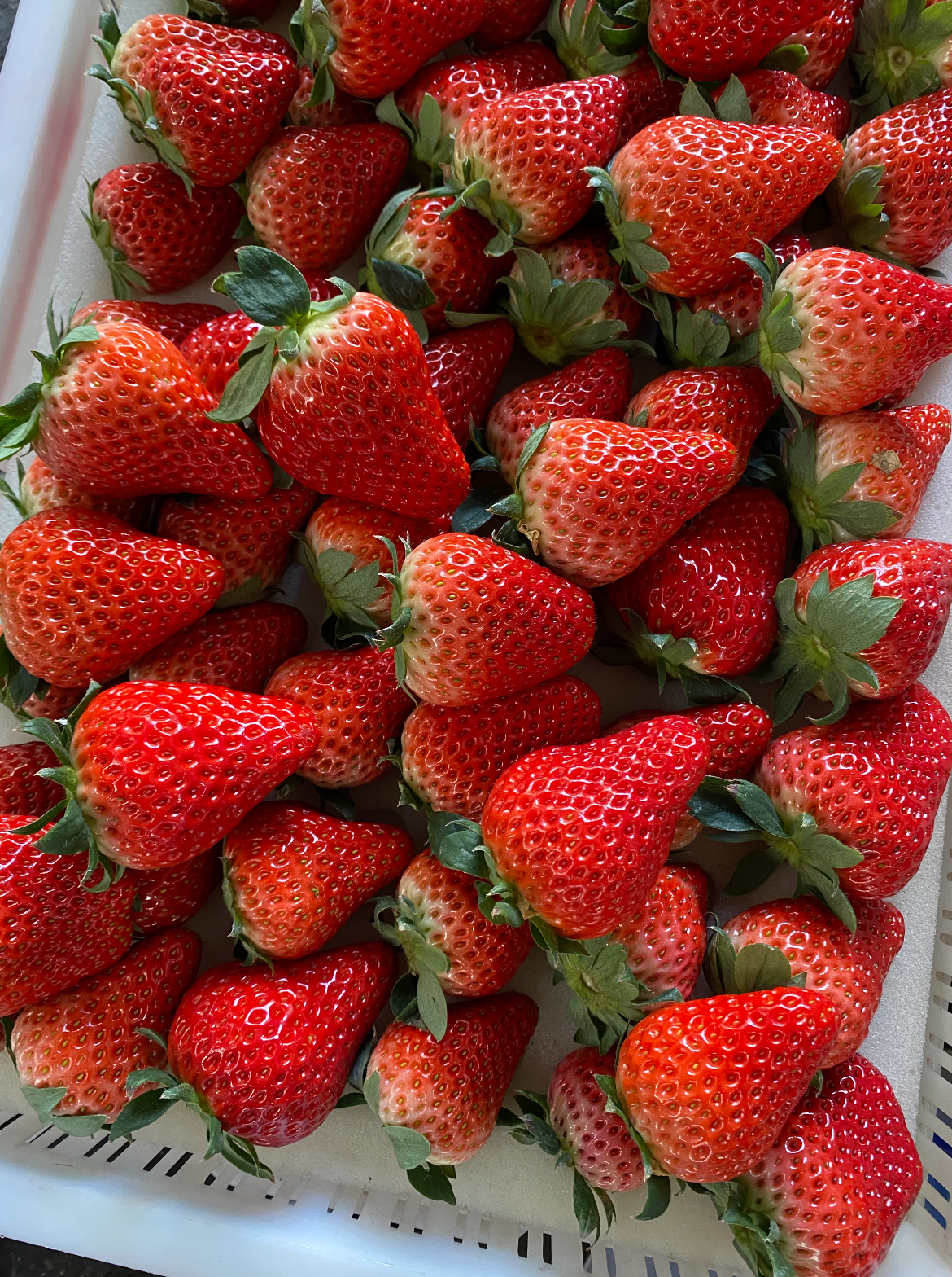 😋如果你喜欢吃草莓🍓 一定要来品尝下这款 配图3