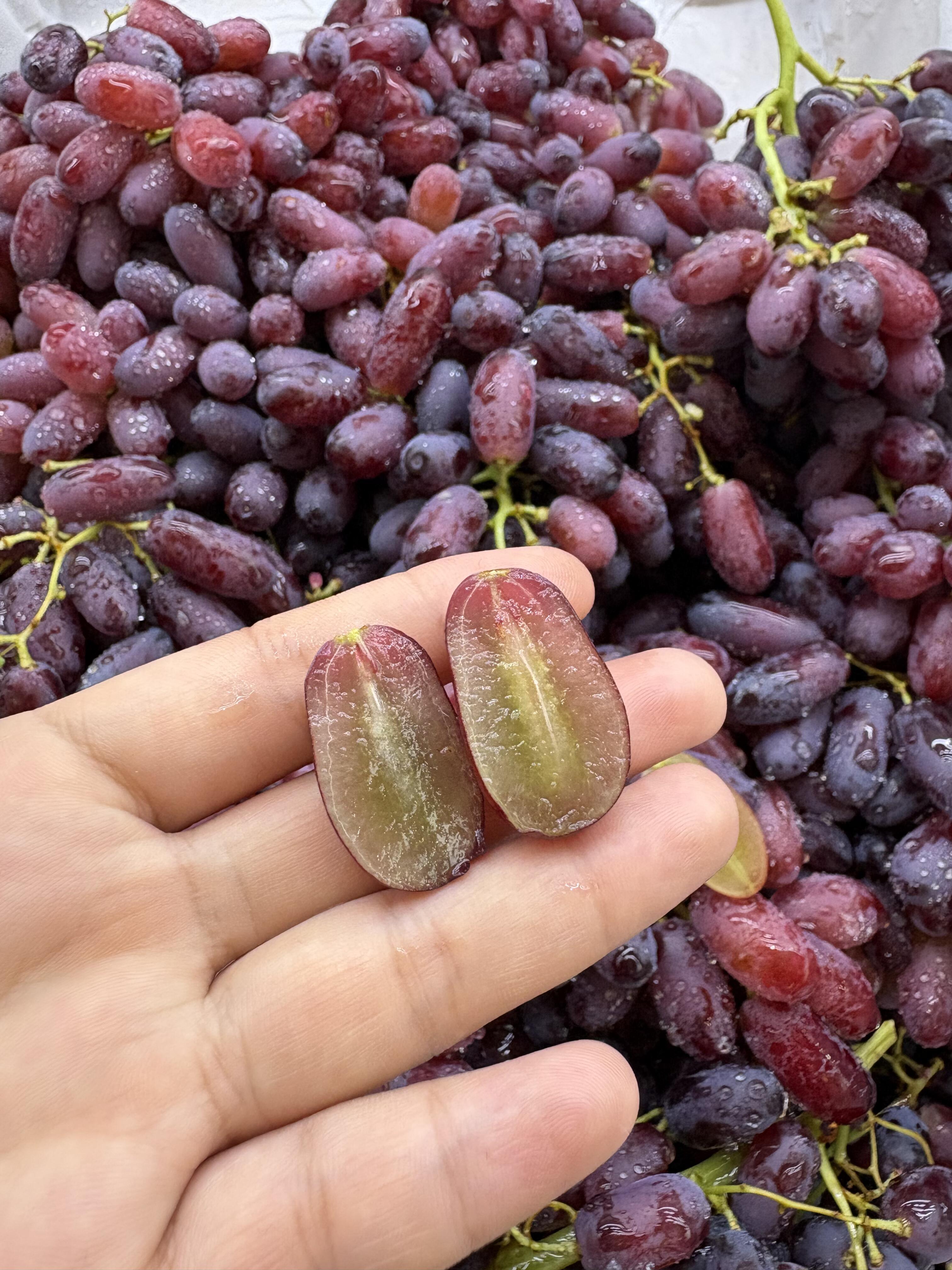 美人指🈚️籽黑提🍇 稀有品种🌟，外形独特 配图1