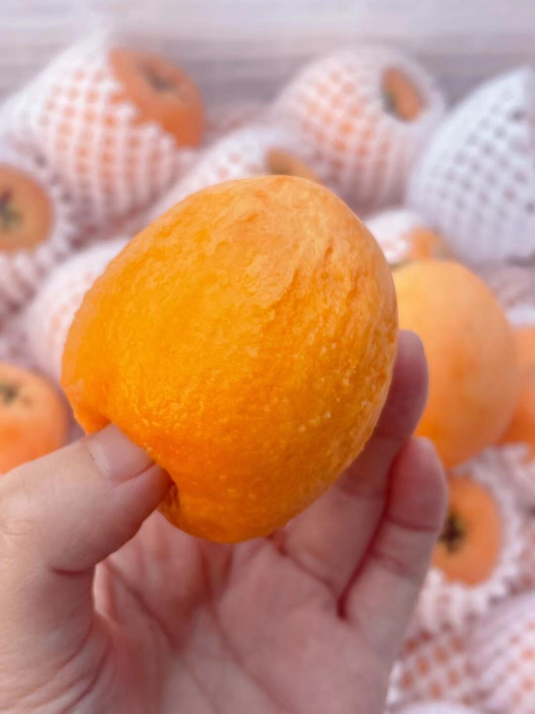枇杷，是双润的味道🧡 快来抢占这第一口甜 配图2