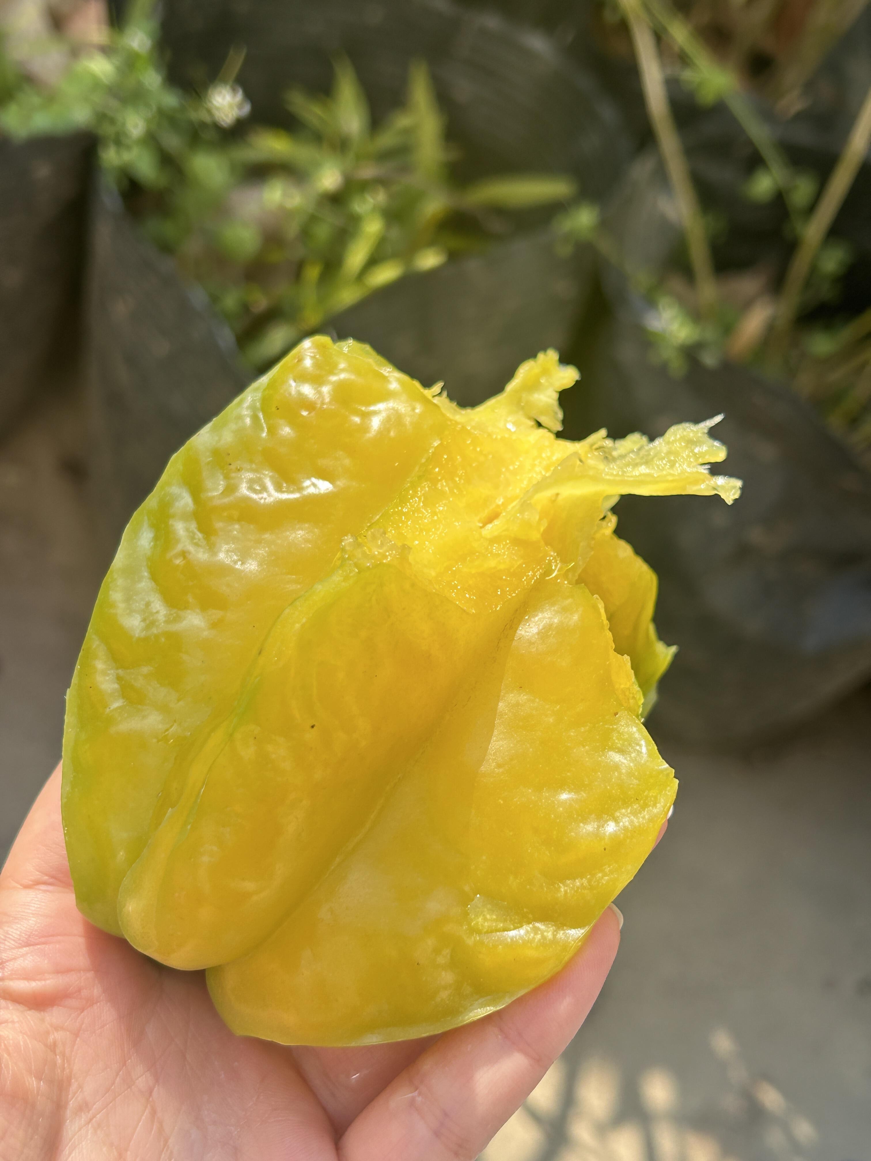 🥰小甜星杨桃到货啦🎉 树上熟的黄金蜜，有 配图1