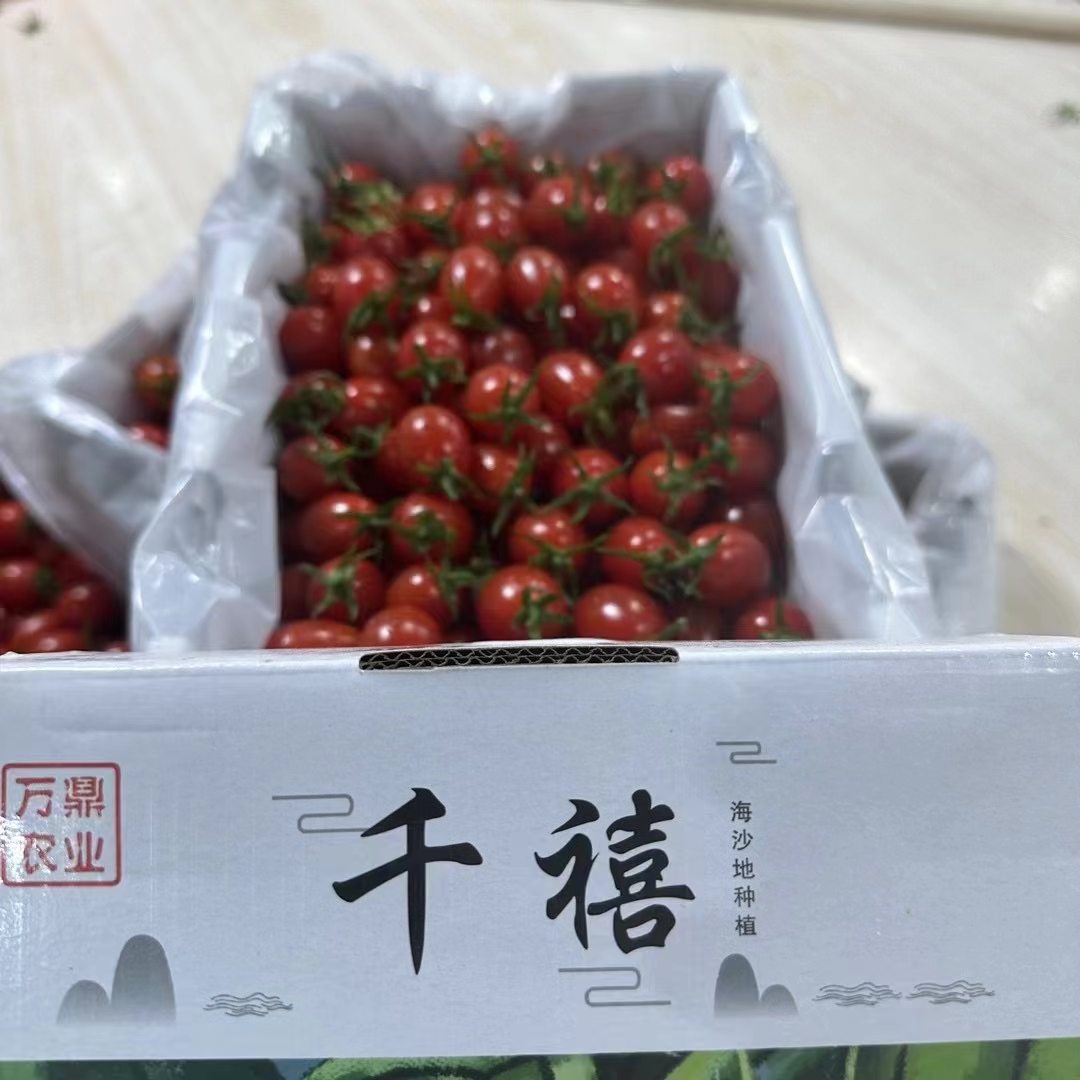 万鼎-红千禧🍅🍅 茂名电白千禧果，是不是 配图2