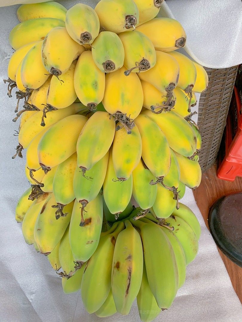 😎不用洗、不用切、一扒皮就能吃的香蕉🍌  配图3