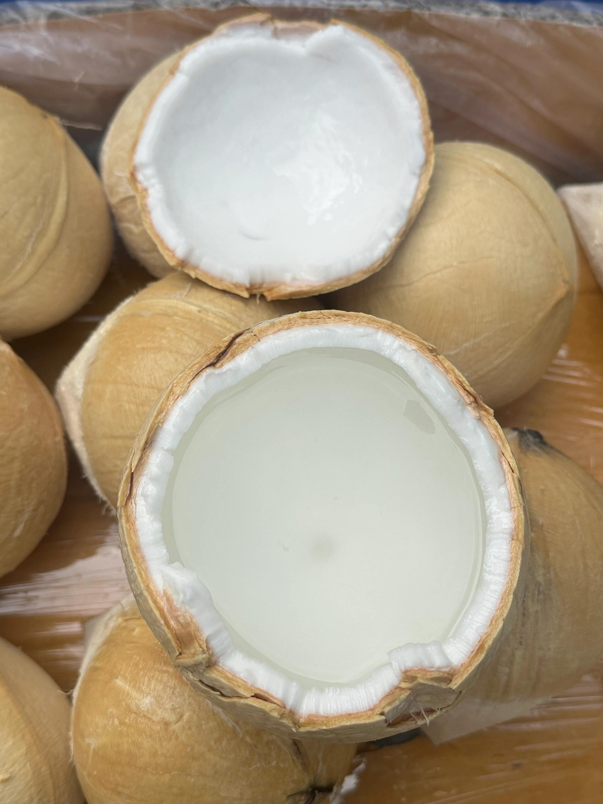 🥥 椰皇！ 小小个超可爱🥥 敲开椰香四溢 配图3